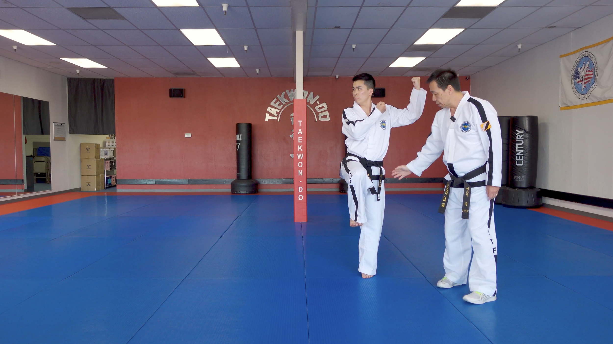 TW+ Update | Lifting Both Arms / Upward Punch
