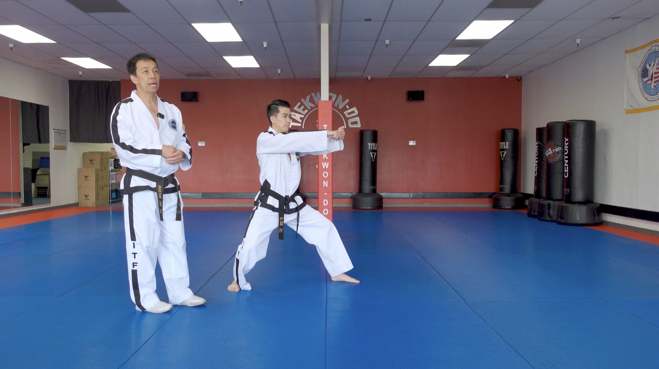 TW+ Update | Downward Strike with the Back-Hand + Punch