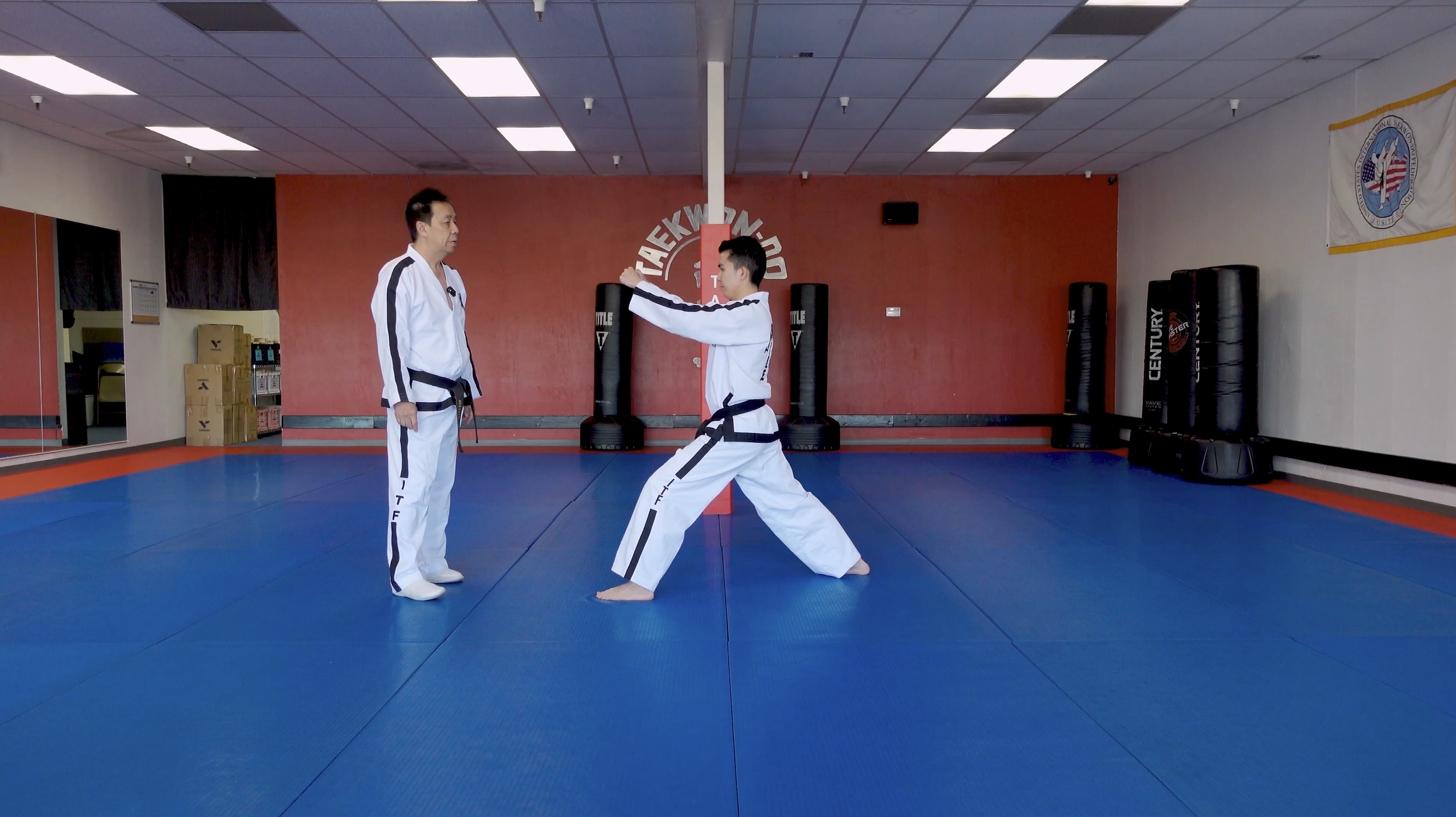 TW+ Update | Twin Vertical Punch