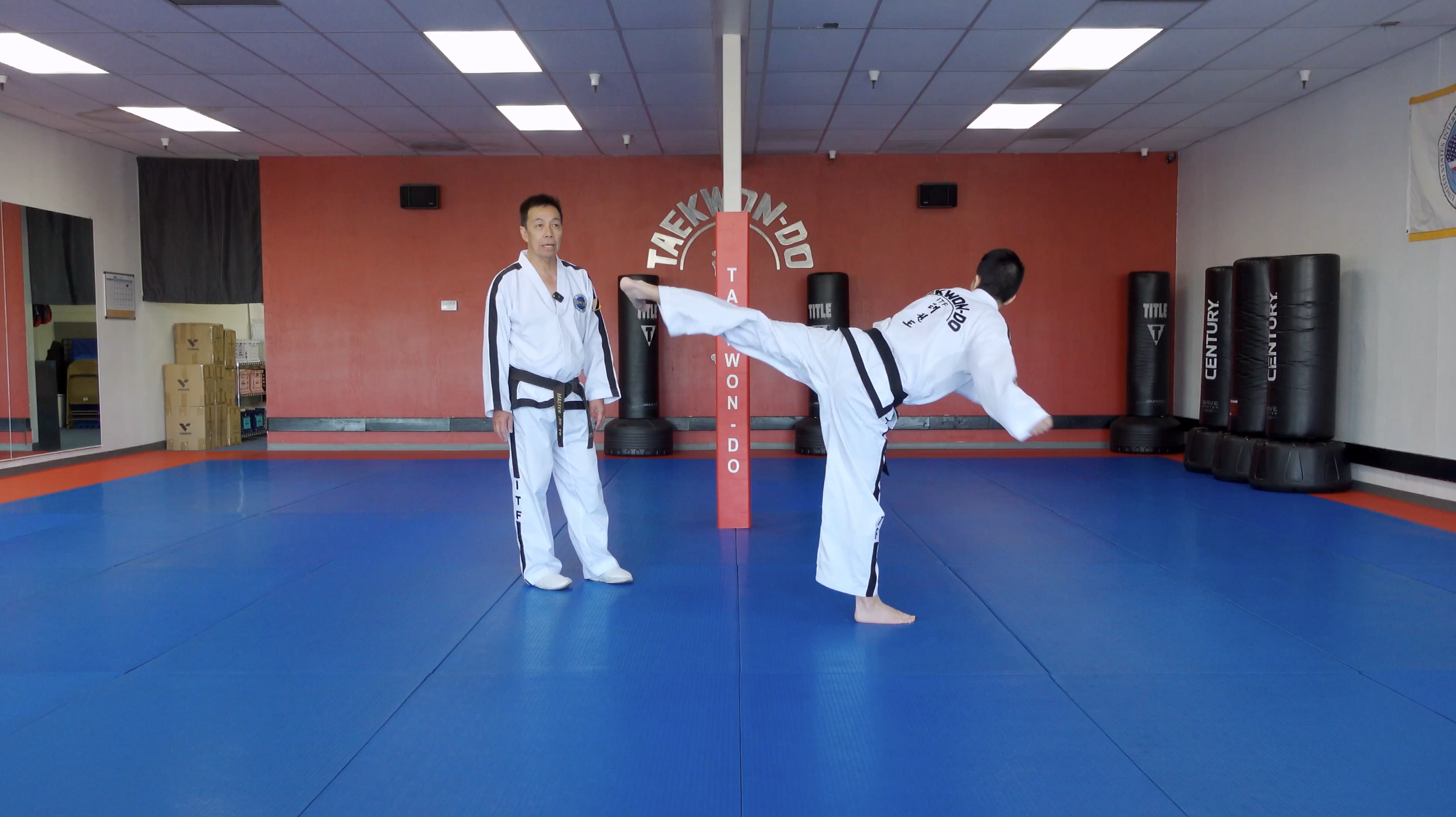 TW+ Update | Turning Kick + Back Kick