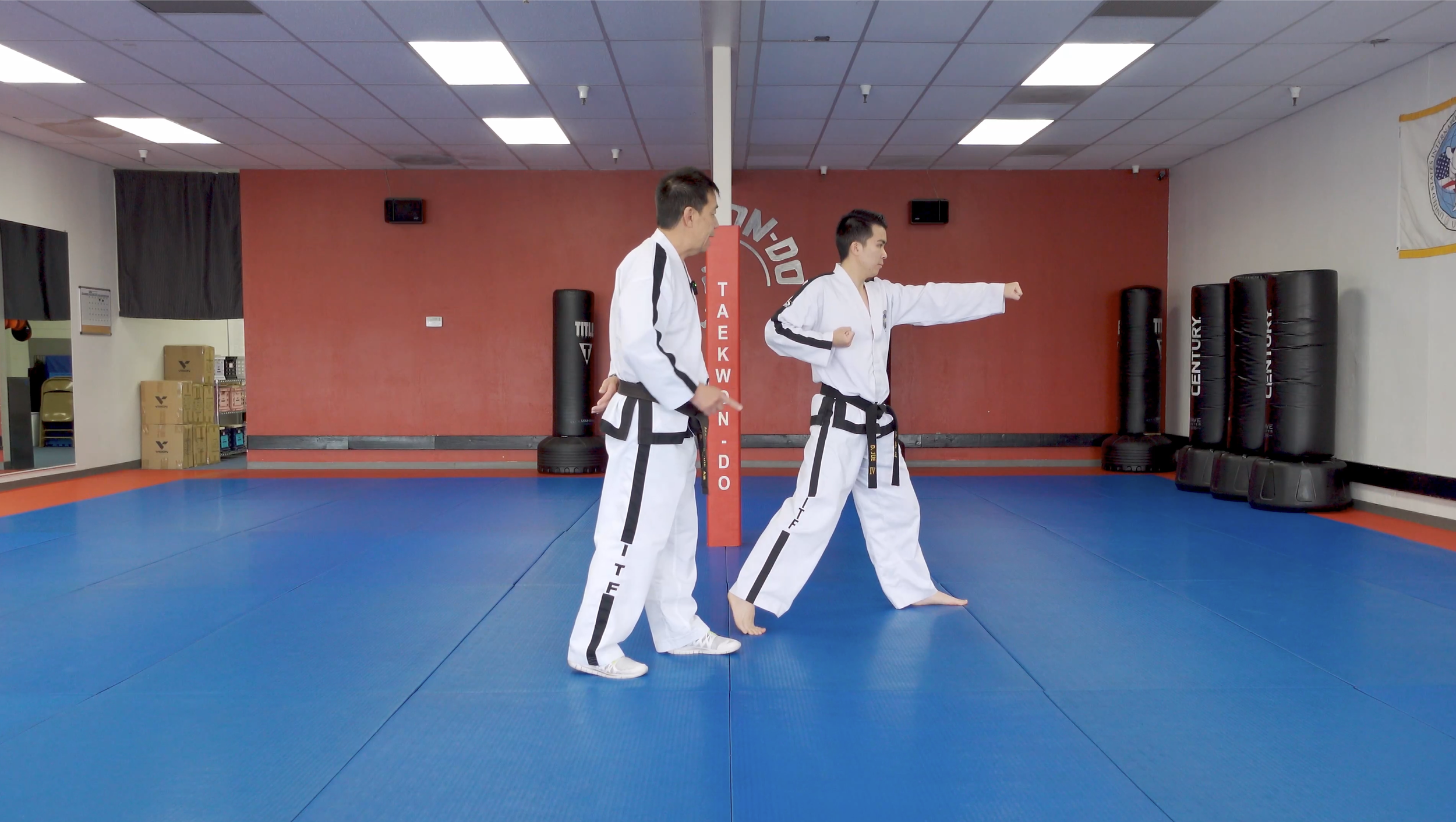 TW+ Update | Two Punches in Fast Motion