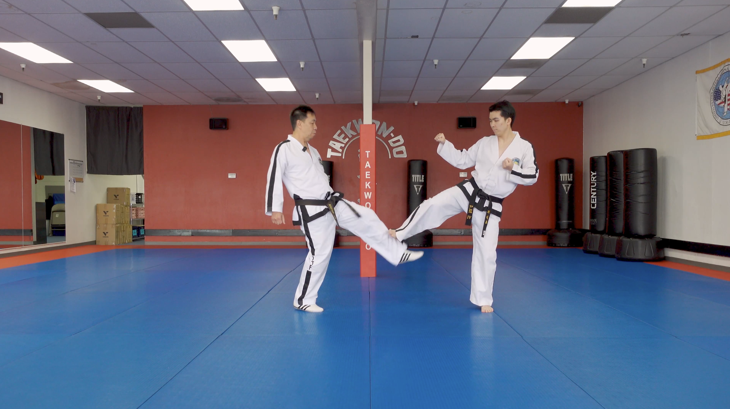 TW+ Update | Side Checking Kick + Side Thrusting Kick