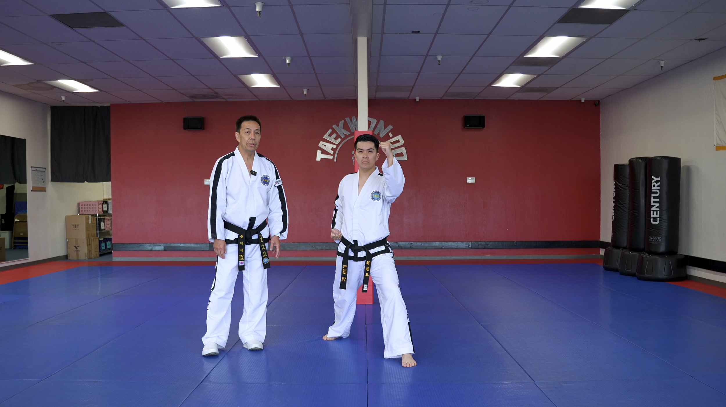 TW+ Update | High Side Back Fist Strike