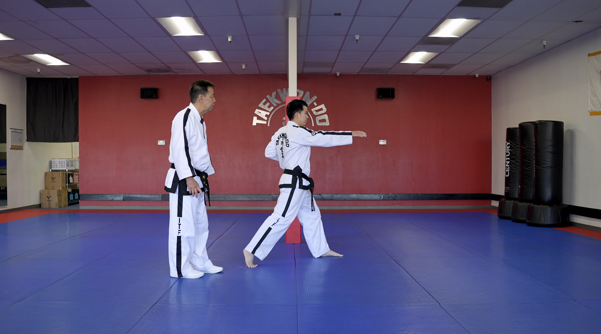 TW+ Update | Connecting Motion (Walking Stance)