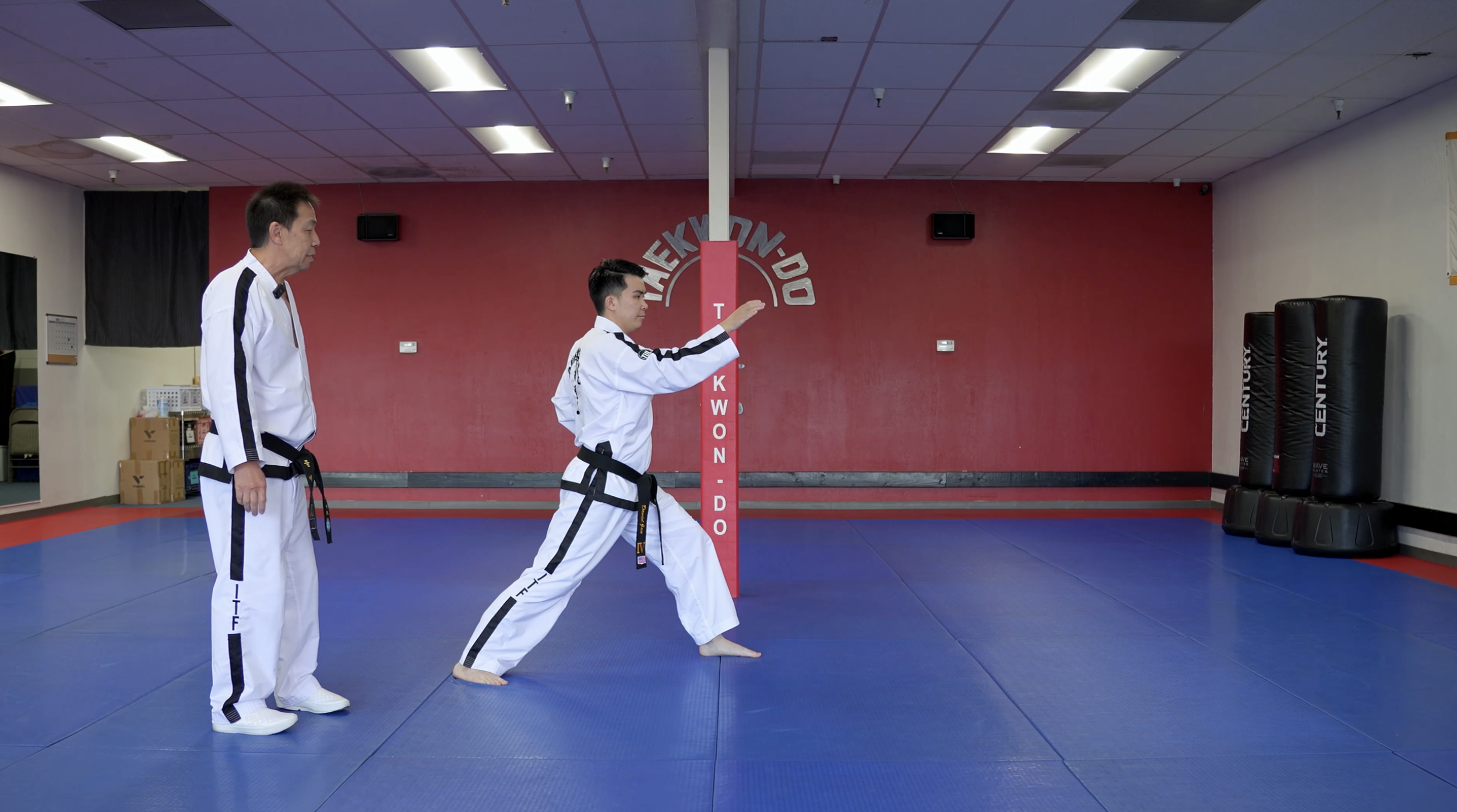 TW+ Update | Hooking Block + Punch (Continuous Motion)