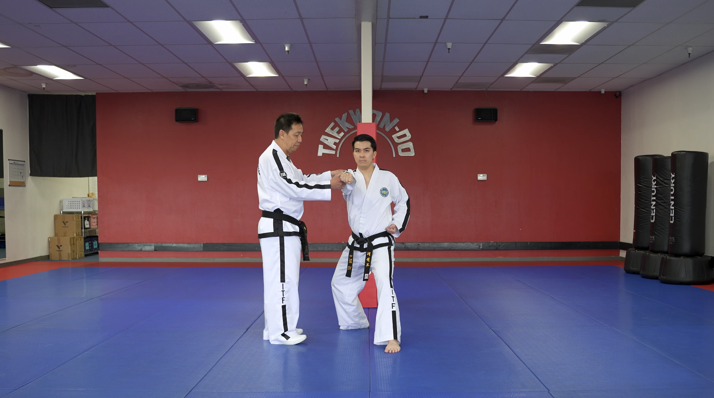 TW+ Update | Slipping Back - Obverse Punch (L-Stance)