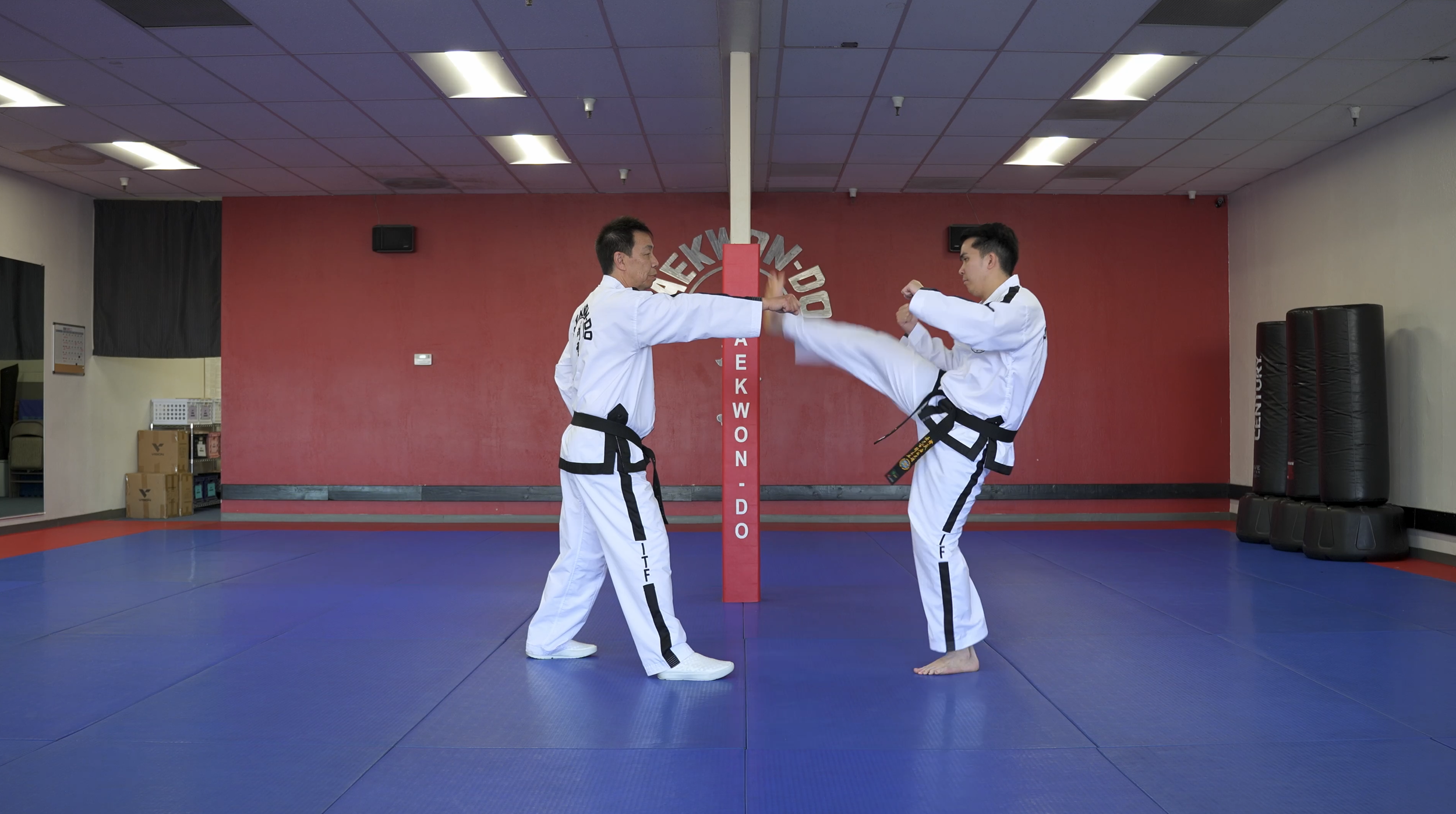 TW+ Update | Crescent Kick