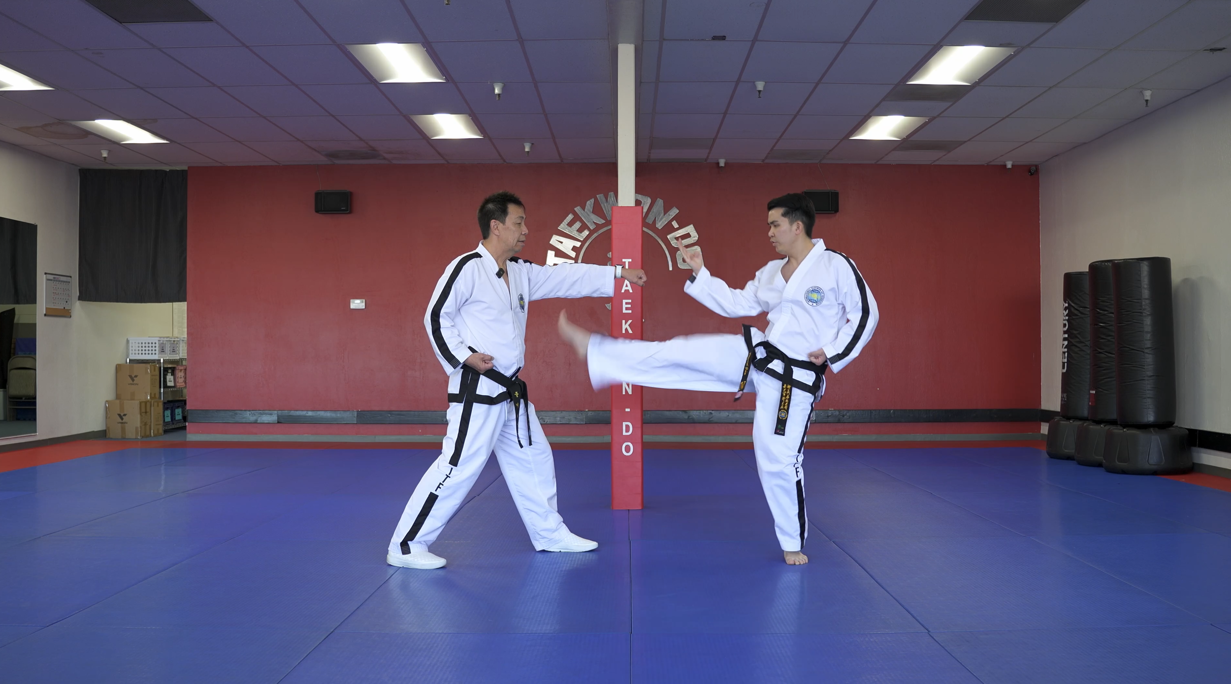 TW+ Update | Side Front Snap Kick