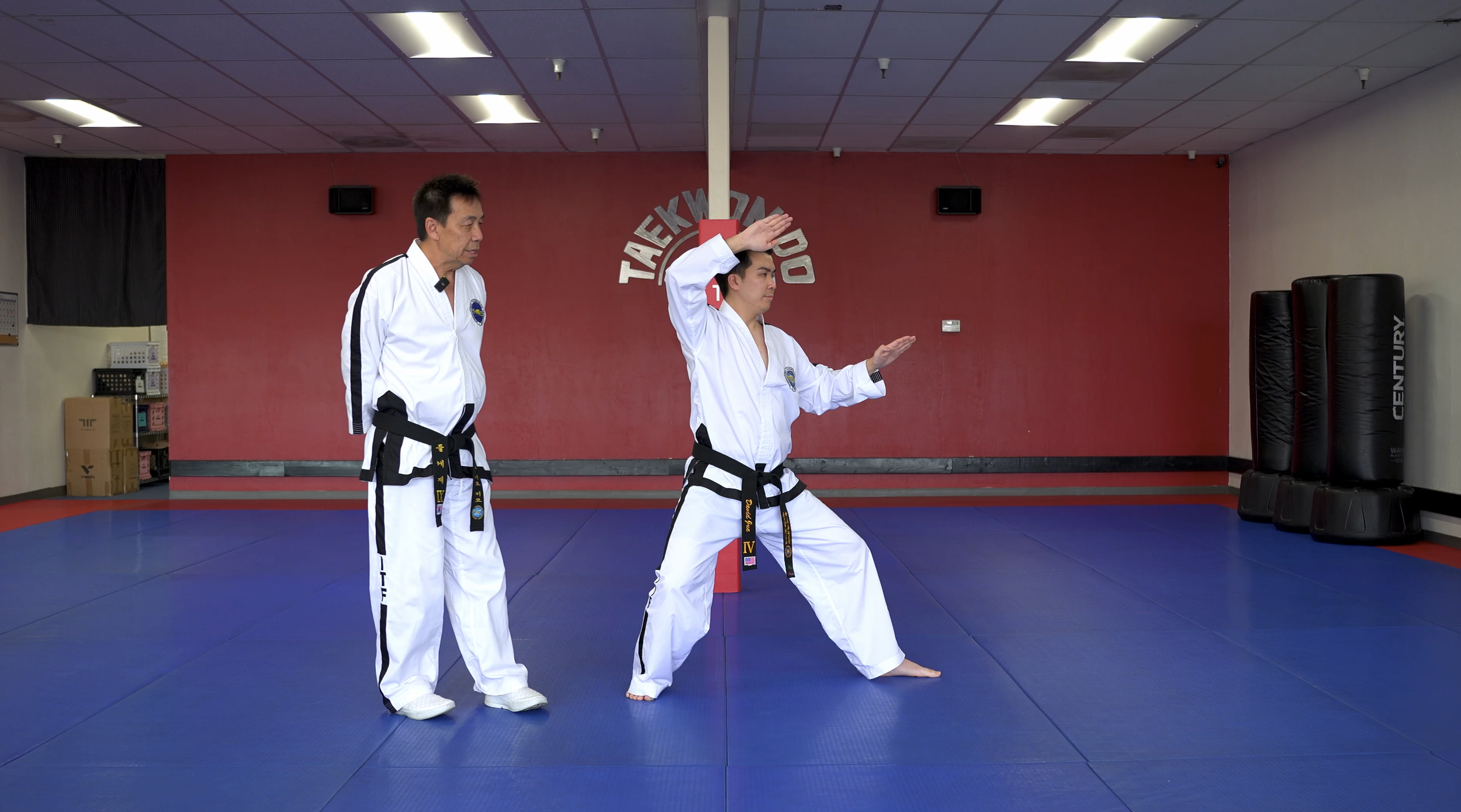 TW+ Update | Twin Knife-Hand Block