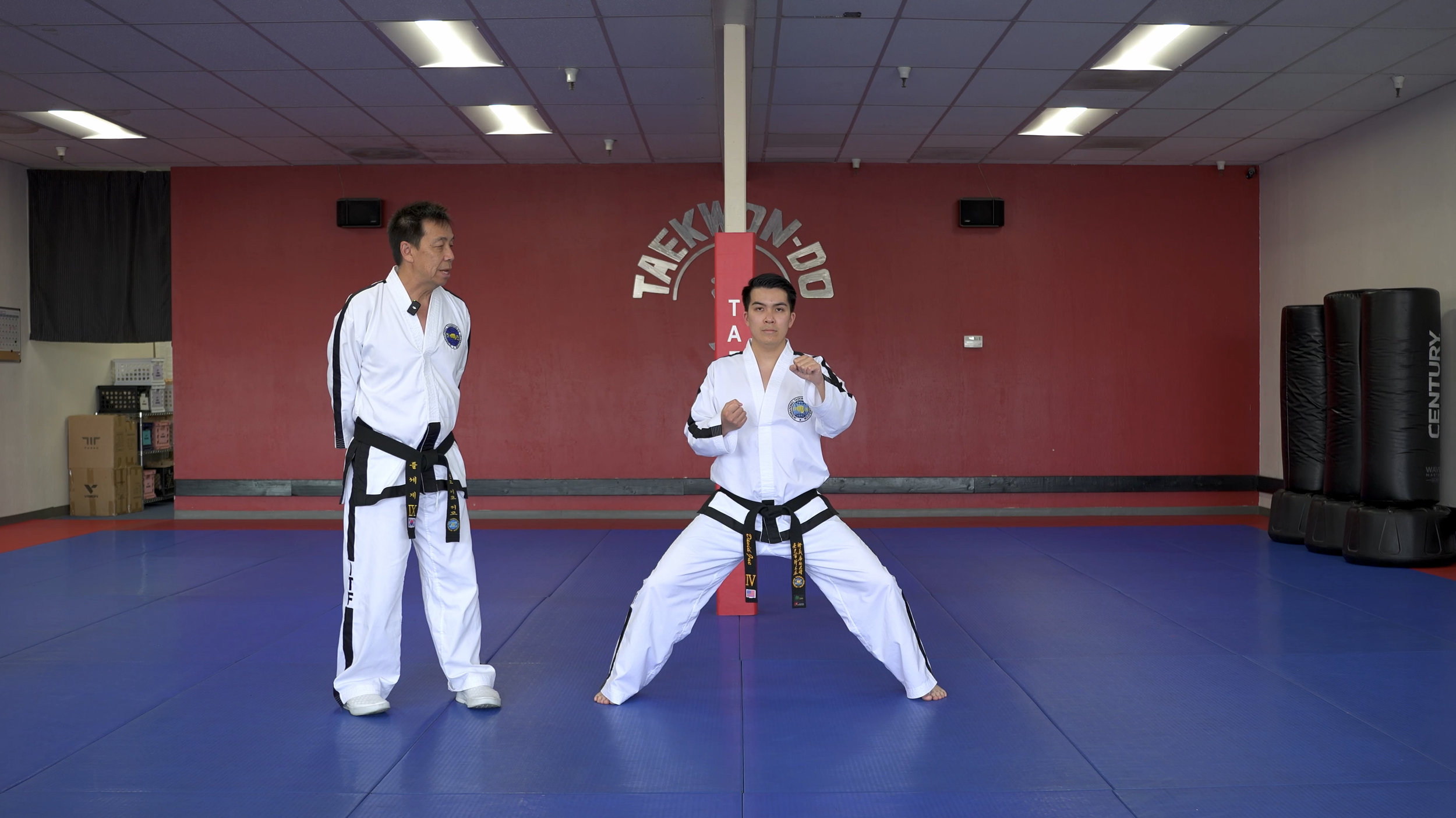 TW+ Update | Regular Motion Punching (Sitting Stance)