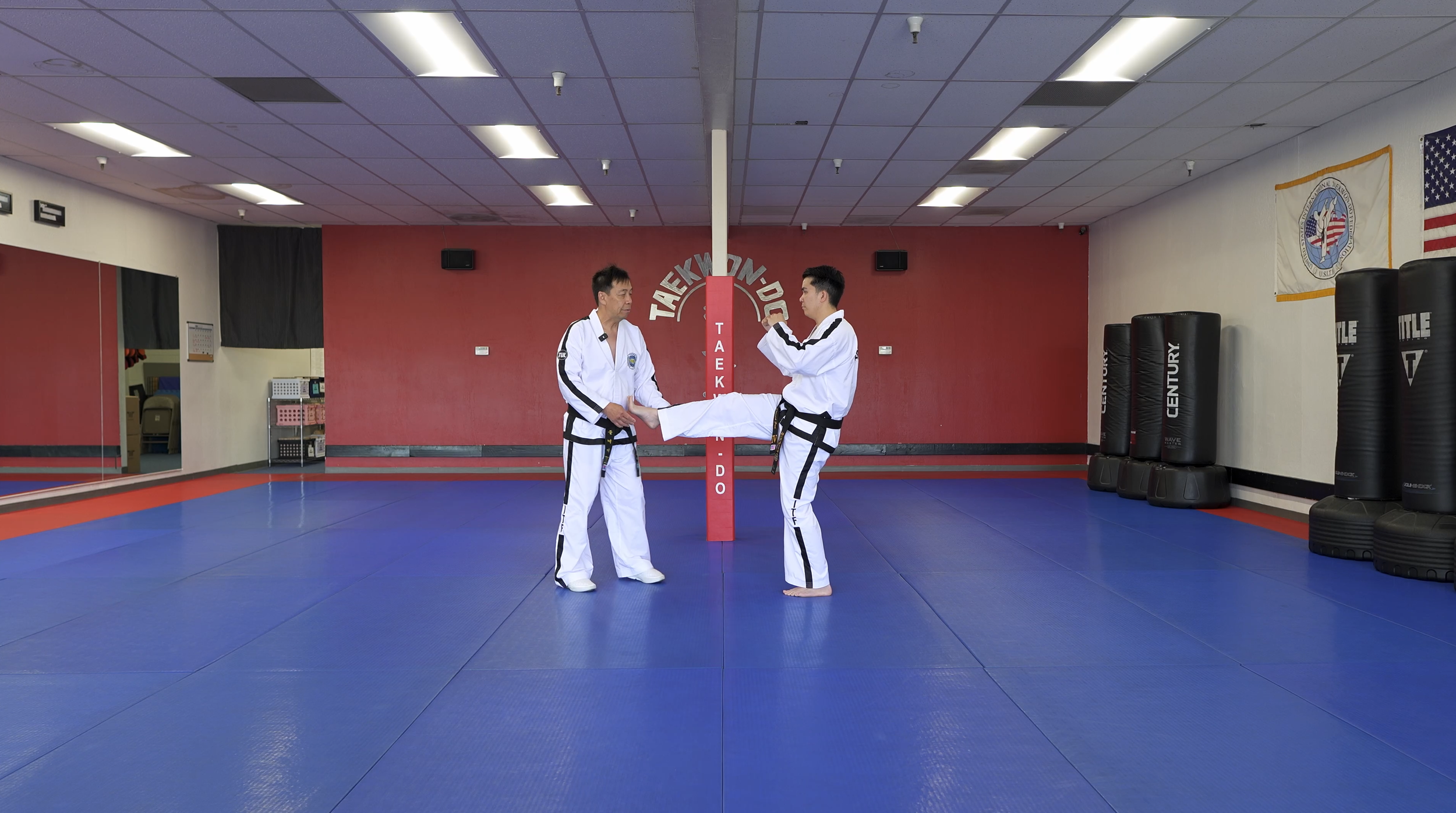 TW+ Update |  Front Snap Kick