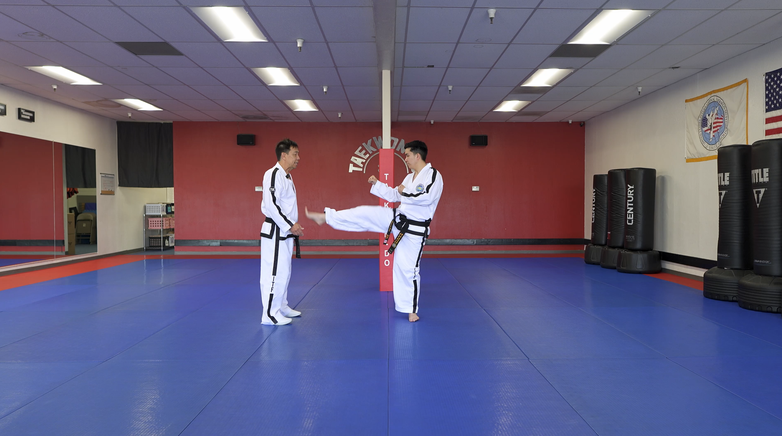 TW+ Update | Side Front Snap Kick