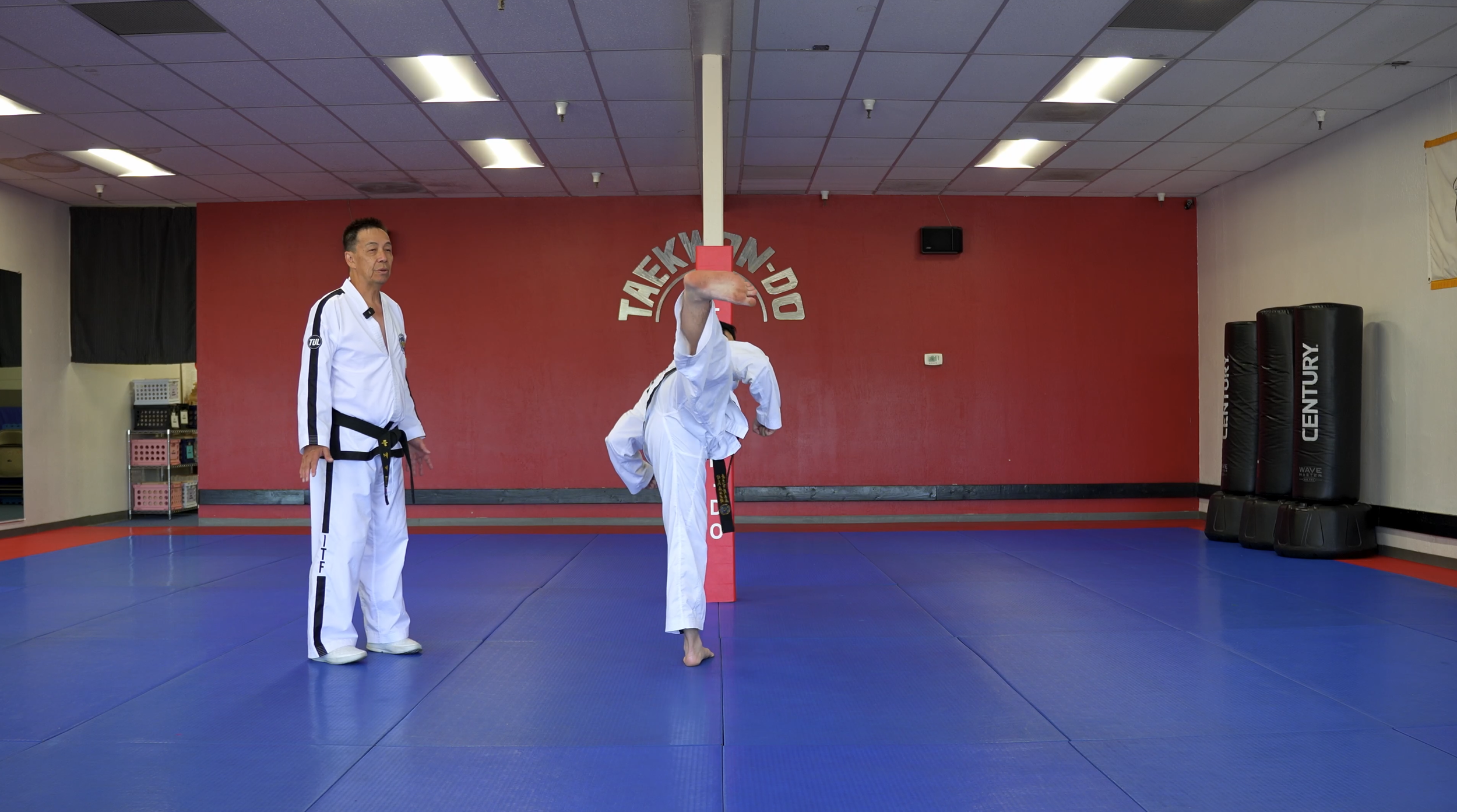 TW+ Update | Back Kick