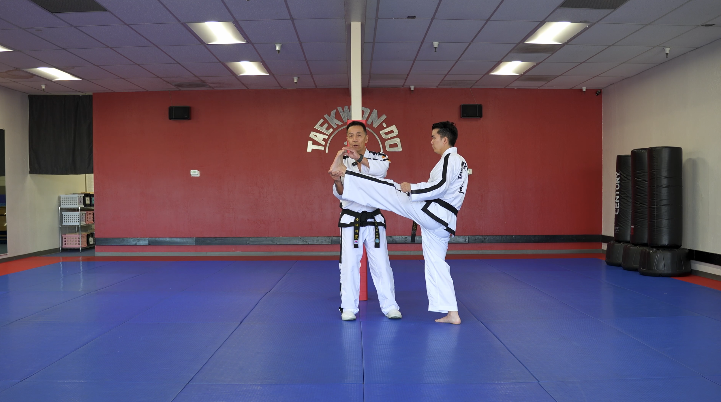 TW+ Update | High Kick