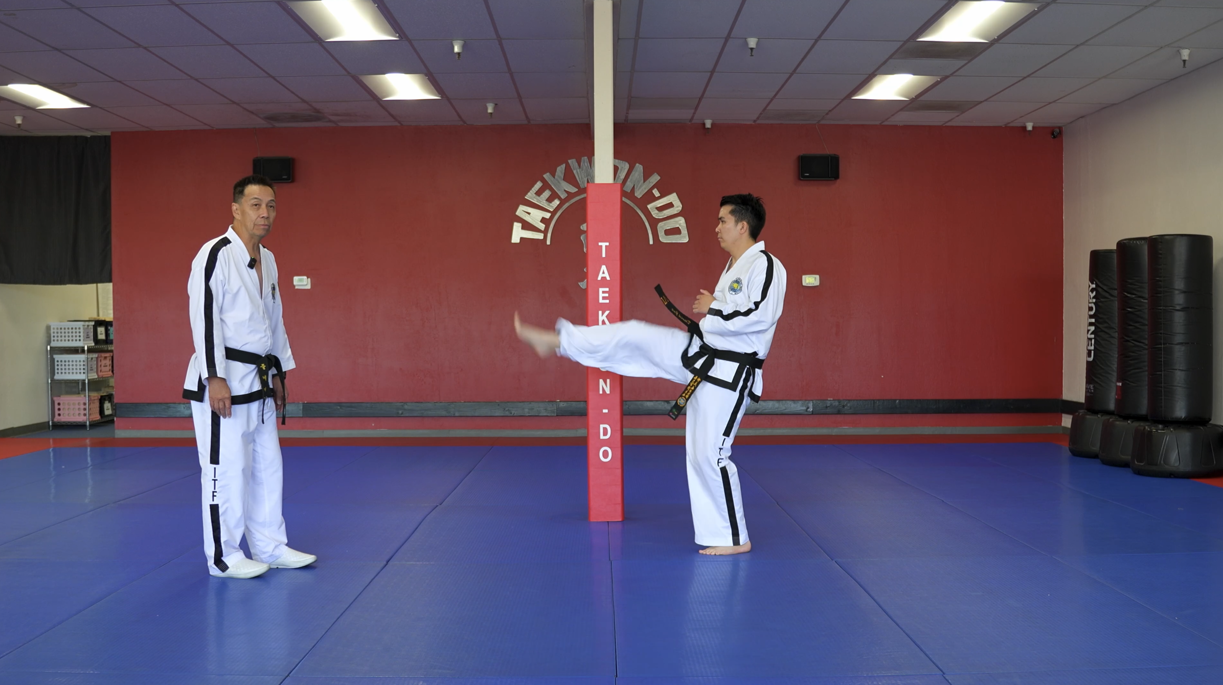 TW+ Update | Skip Front Snap Kick