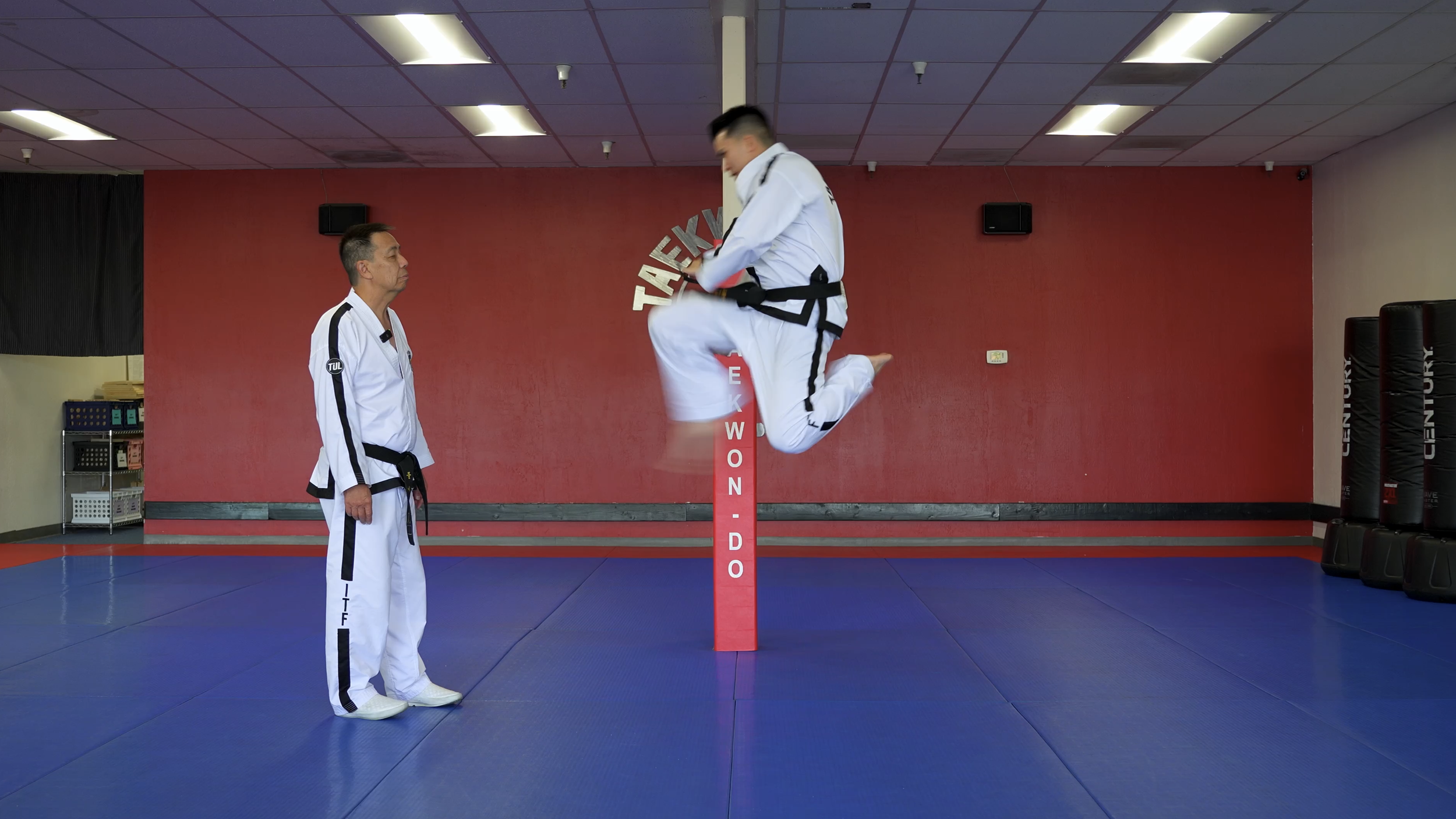 TW+ Update | Flying Front Snap Kick