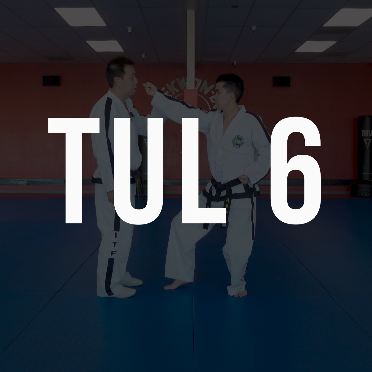Tul 6 Seminar - March 2026