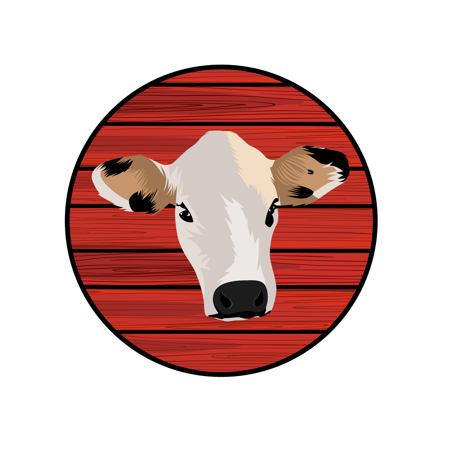 Matthews Creek Productions - Photography / Drone Photography and Video - Starting at $150