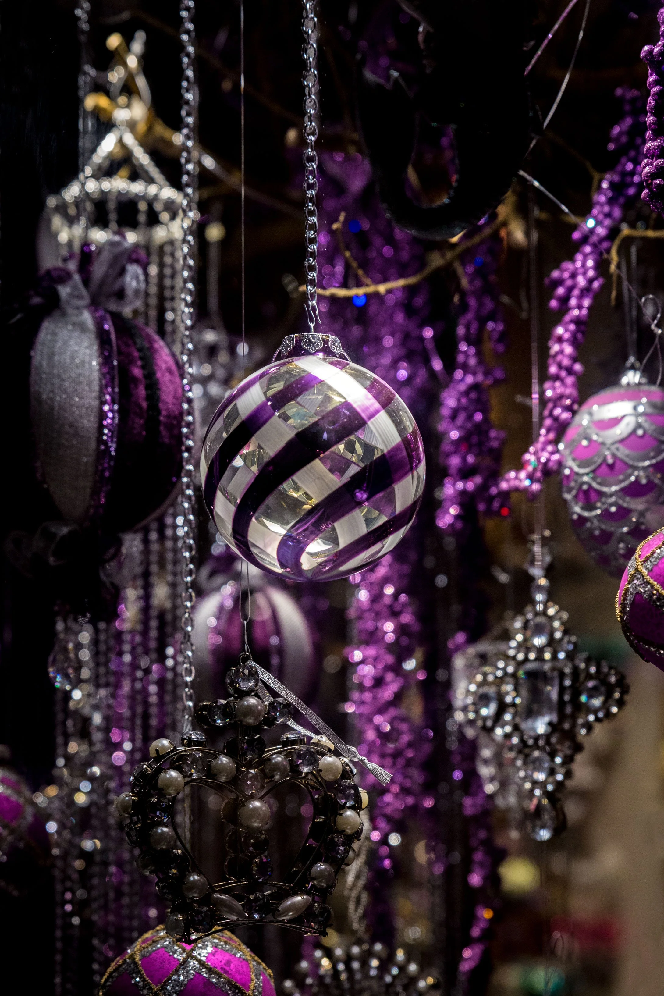 Purple-Christmas-Delight.jpg