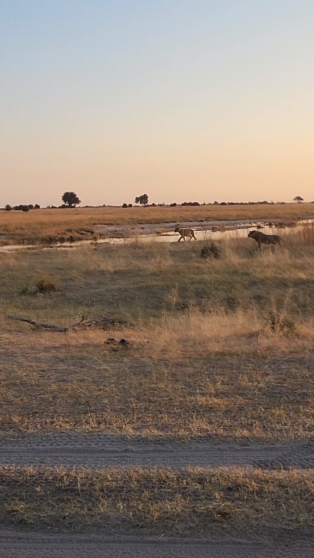 VideoCapture_20230913-145648.jpg