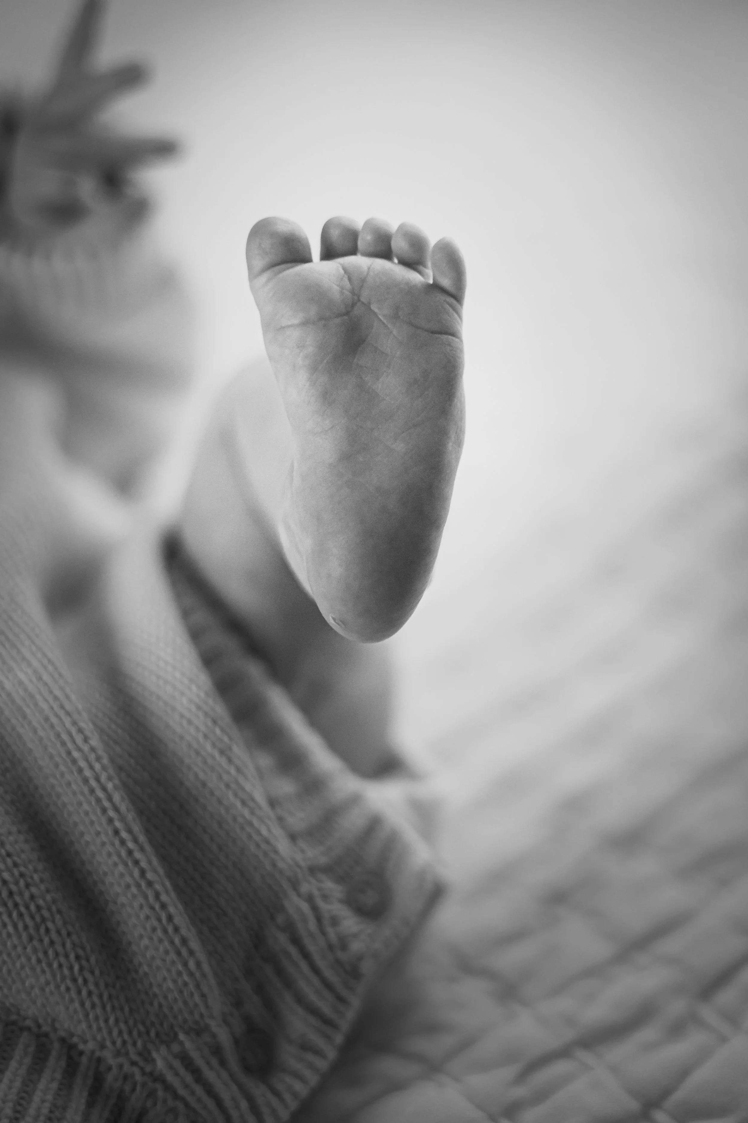 Baby Margo (85 of 100).jpg