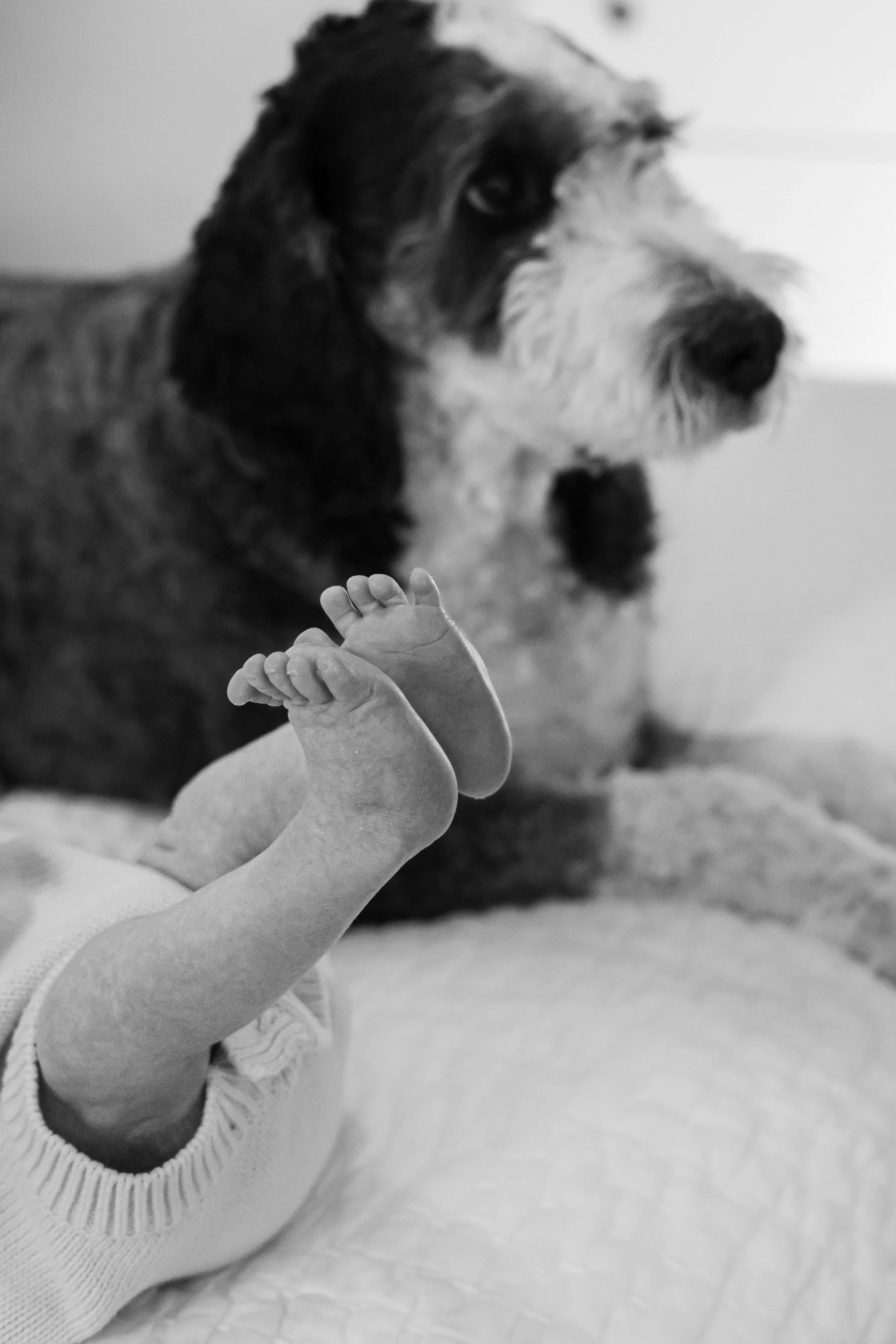 Baby Margo (17 of 100).jpg