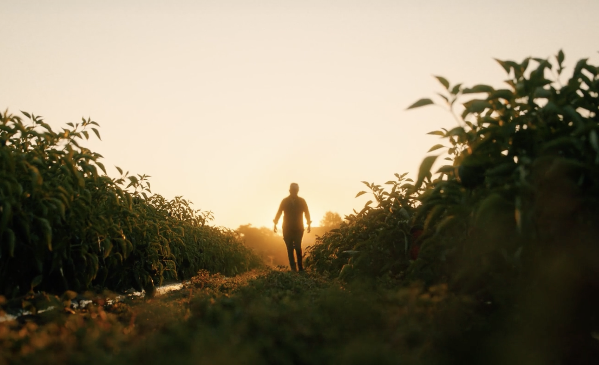 Maine Farmland Trust
