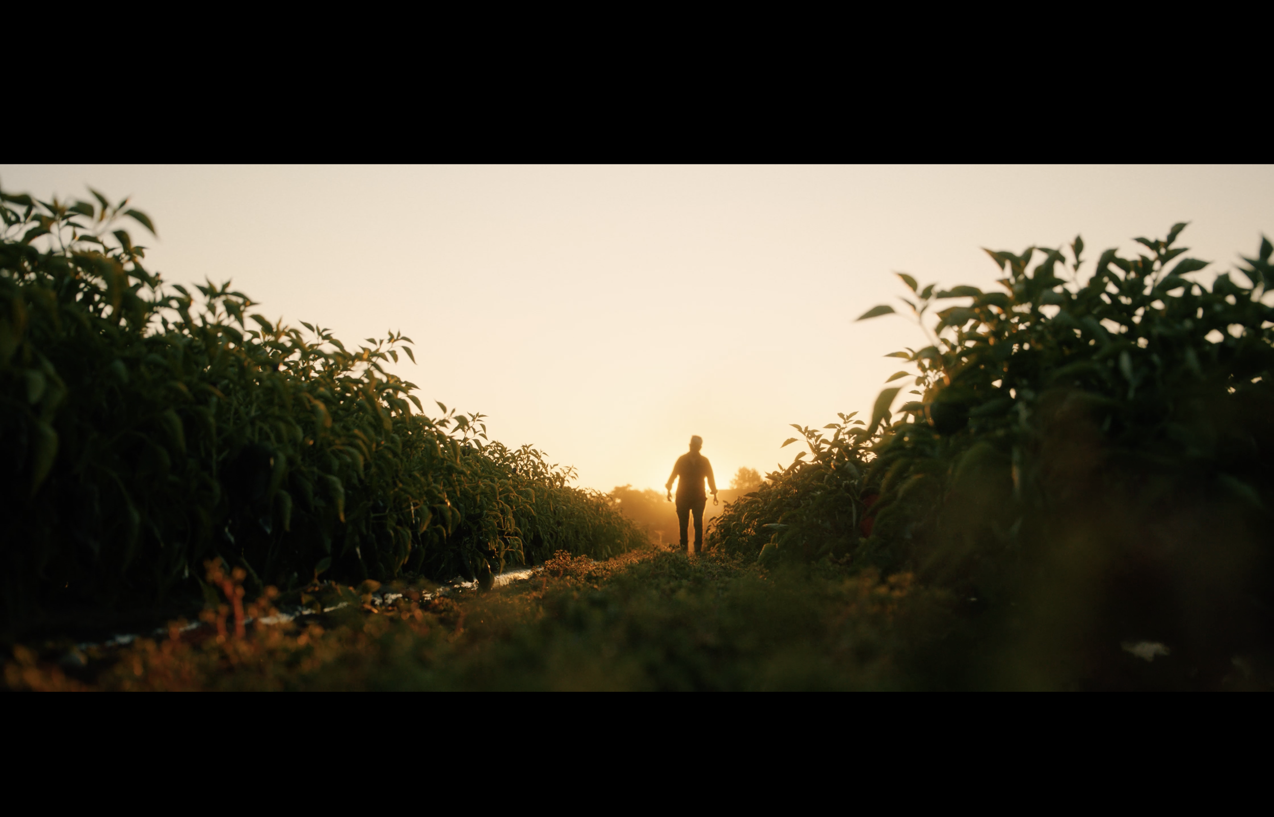 Maine Farmland Trust