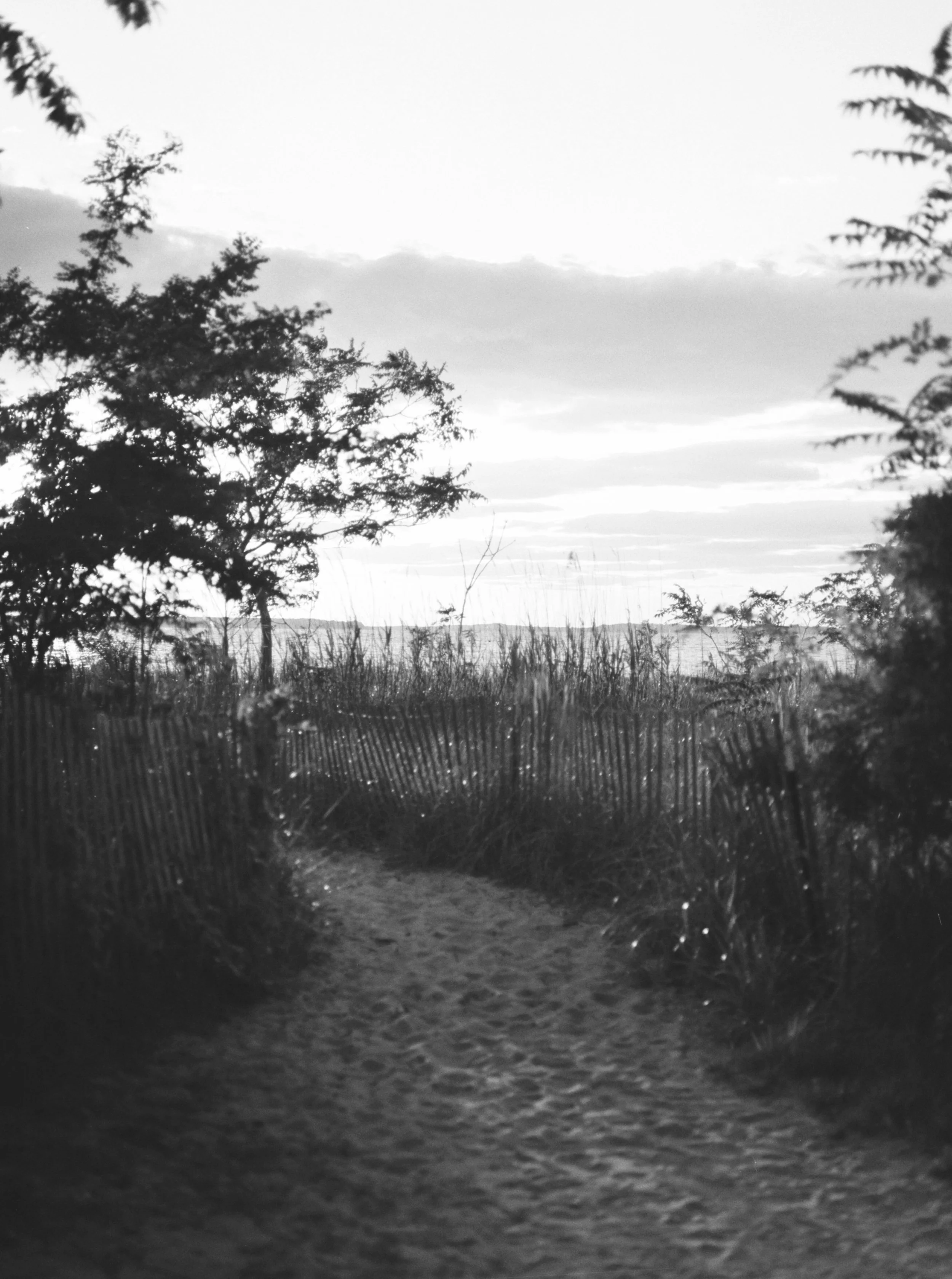 IMG_1685.jpg