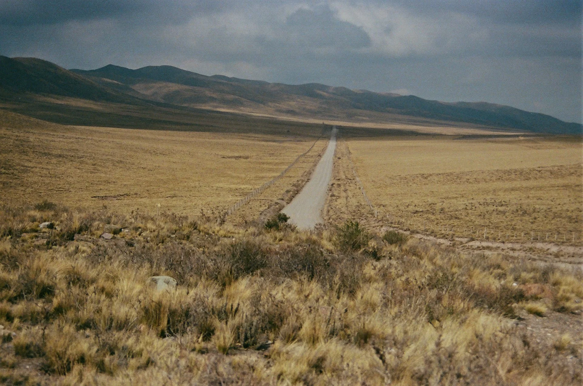analog edit-09.jpg