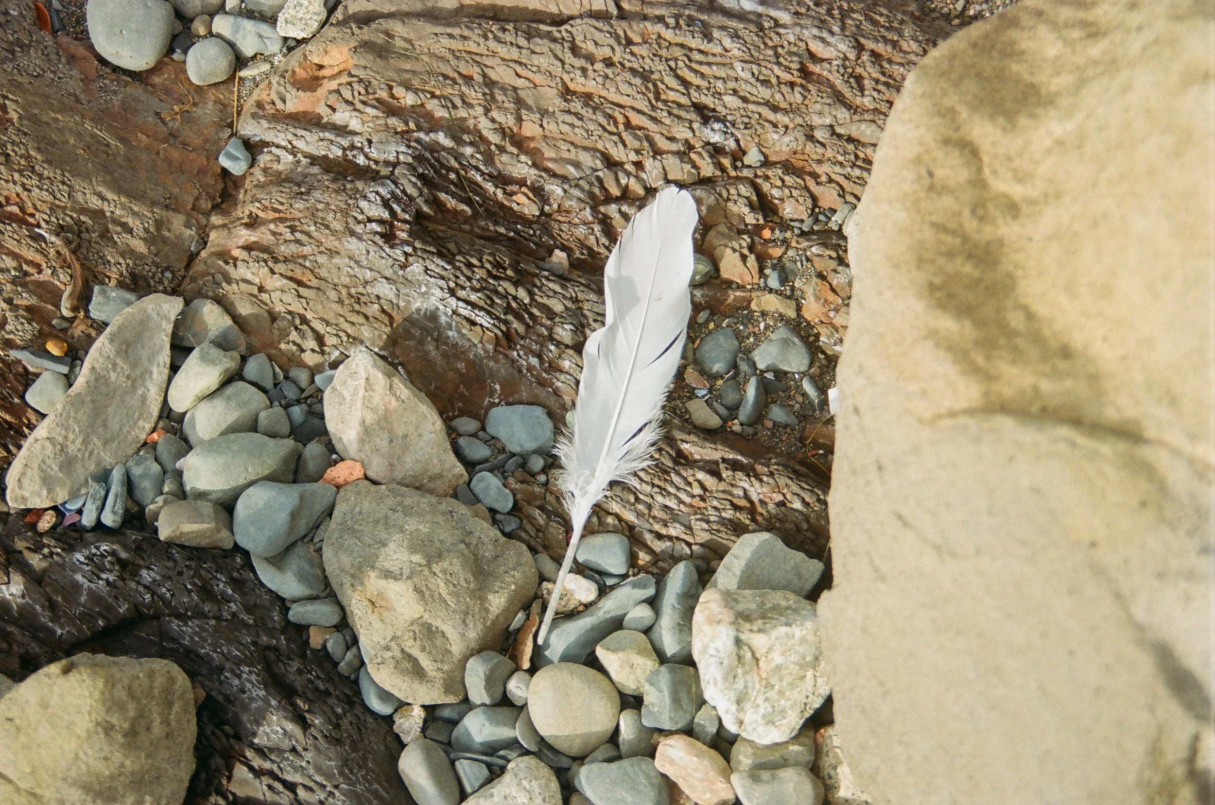 Analog Chile Torres-37.jpg