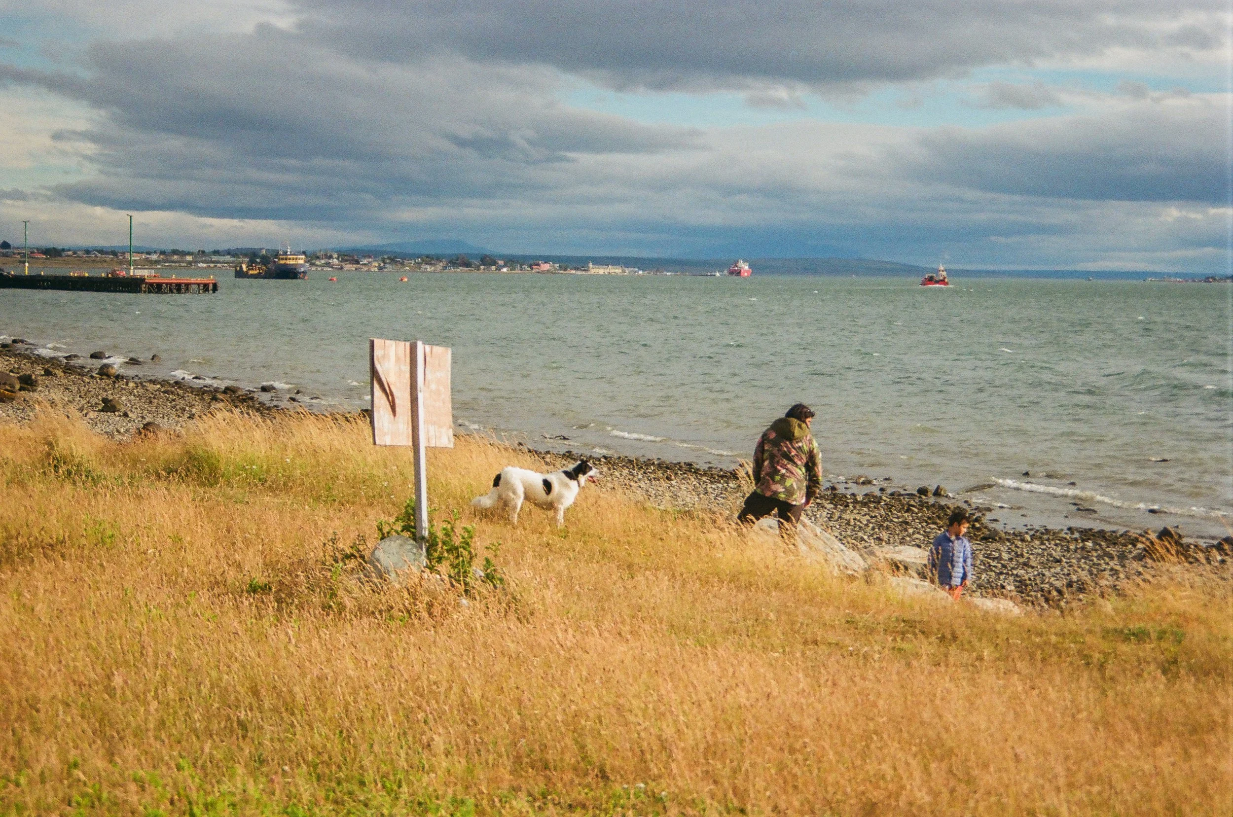 Analog Chile Torres-39.jpg