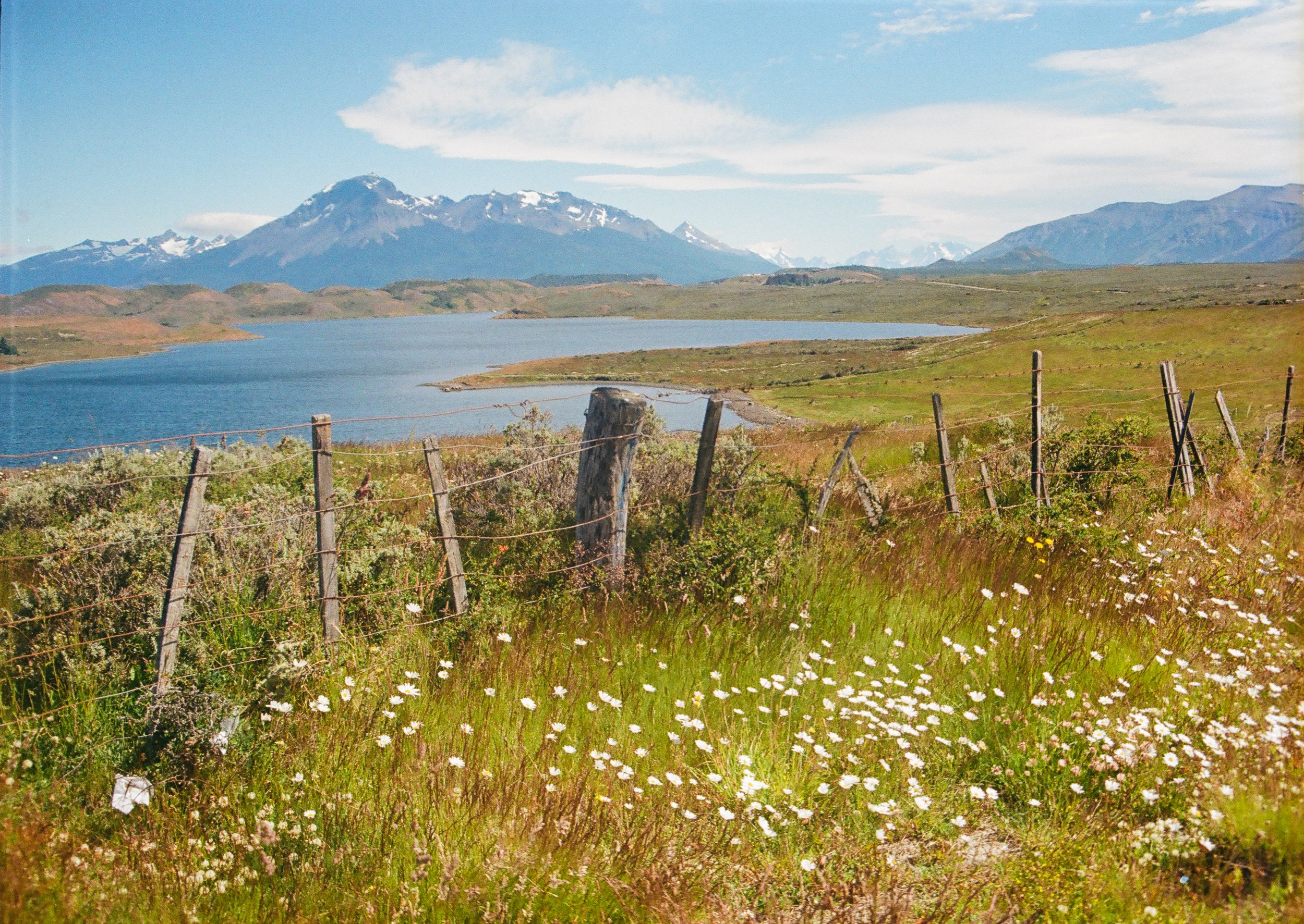 Analog Chile Torres-48.jpg