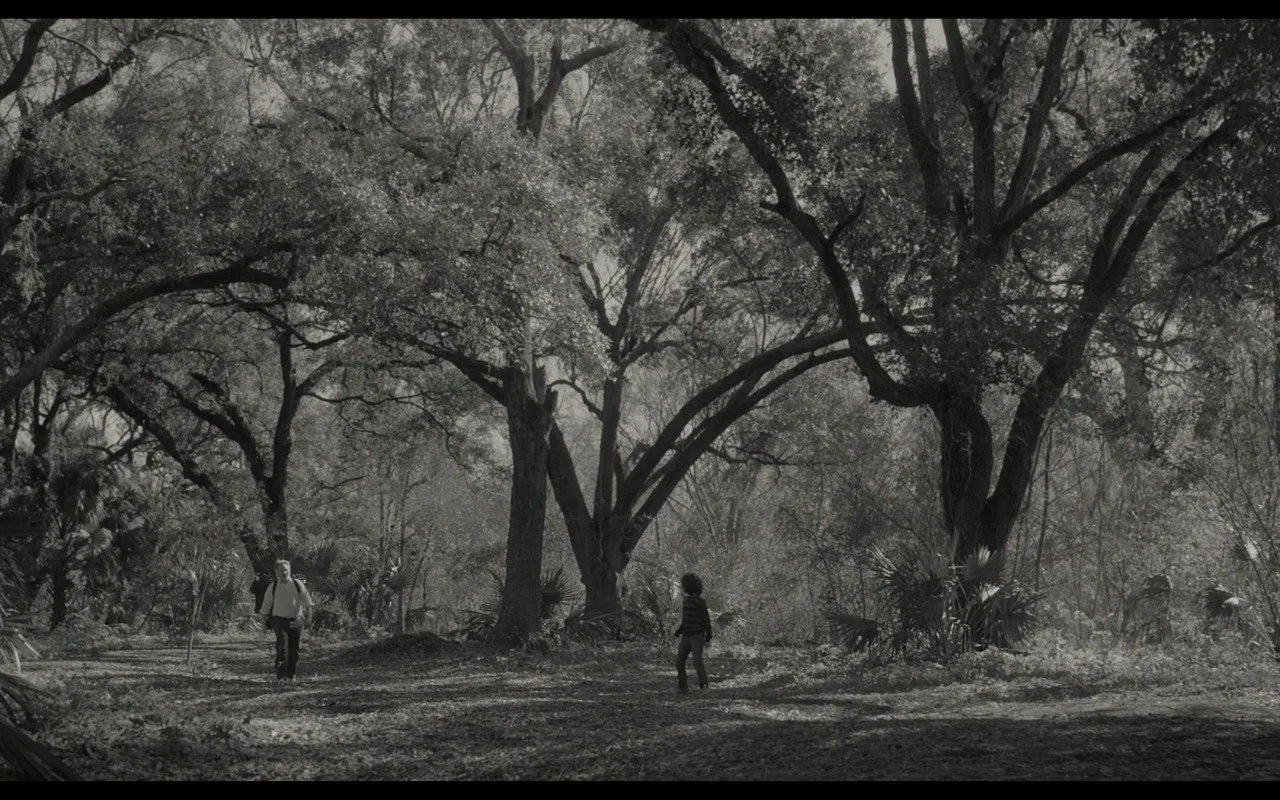 Her -  Spike Jonze - 2014