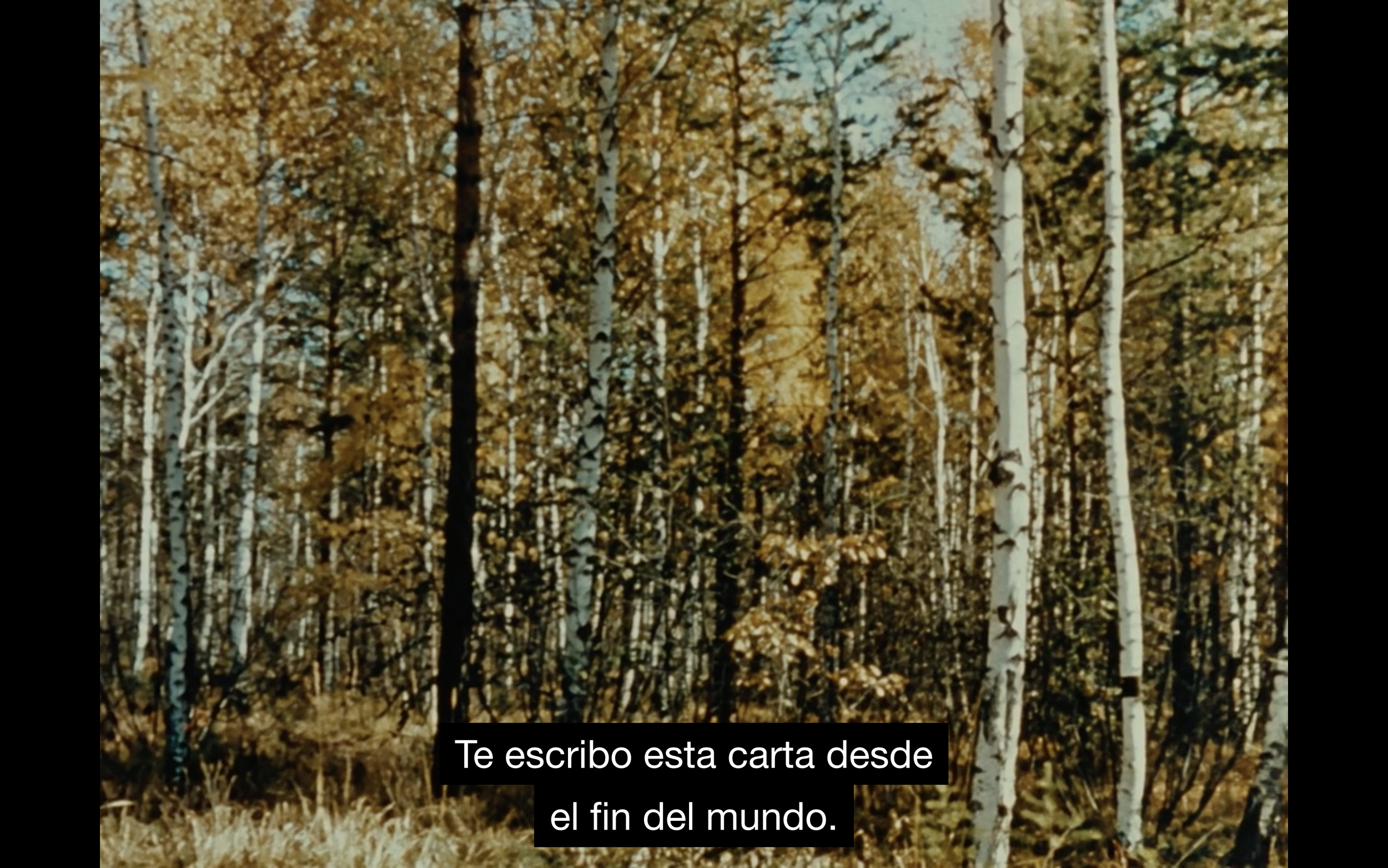 Captura de Pantalla 2023-05-17 a la(s) 21.22.04.png