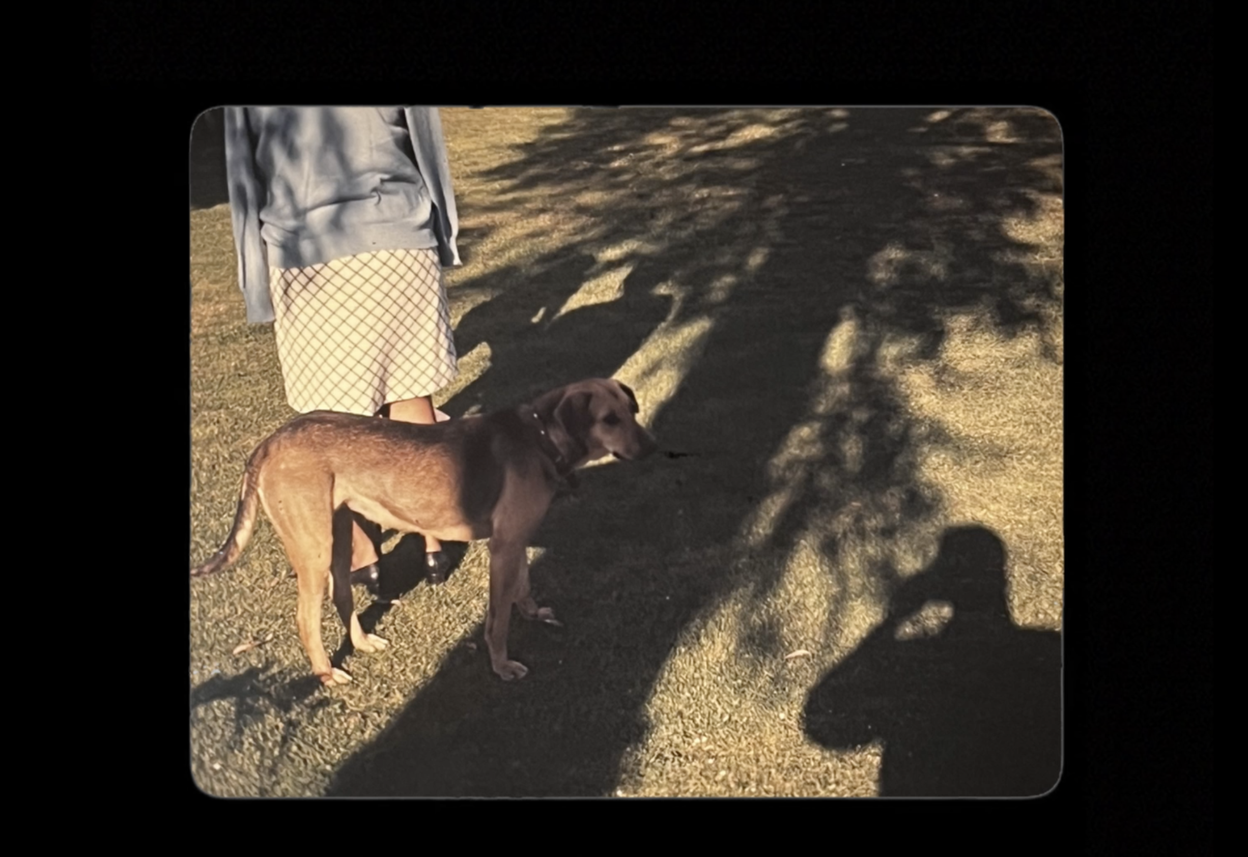 Captura de pantalla 2025-11-27 a la(s) 11.13.25.png