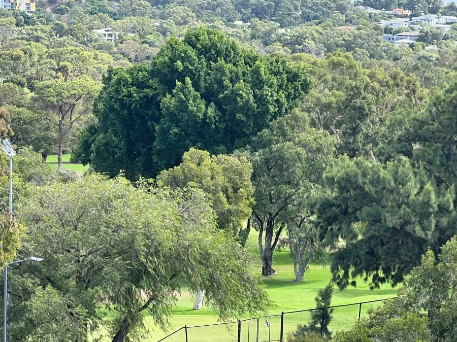 Balcony Claremont golf course 2.jpeg