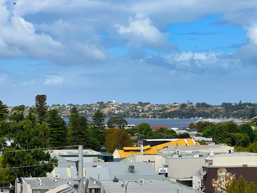 Rooftop Swan view.jpeg