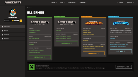 Profiles bring game cards, account actions, navigation, and currency information into one layout.