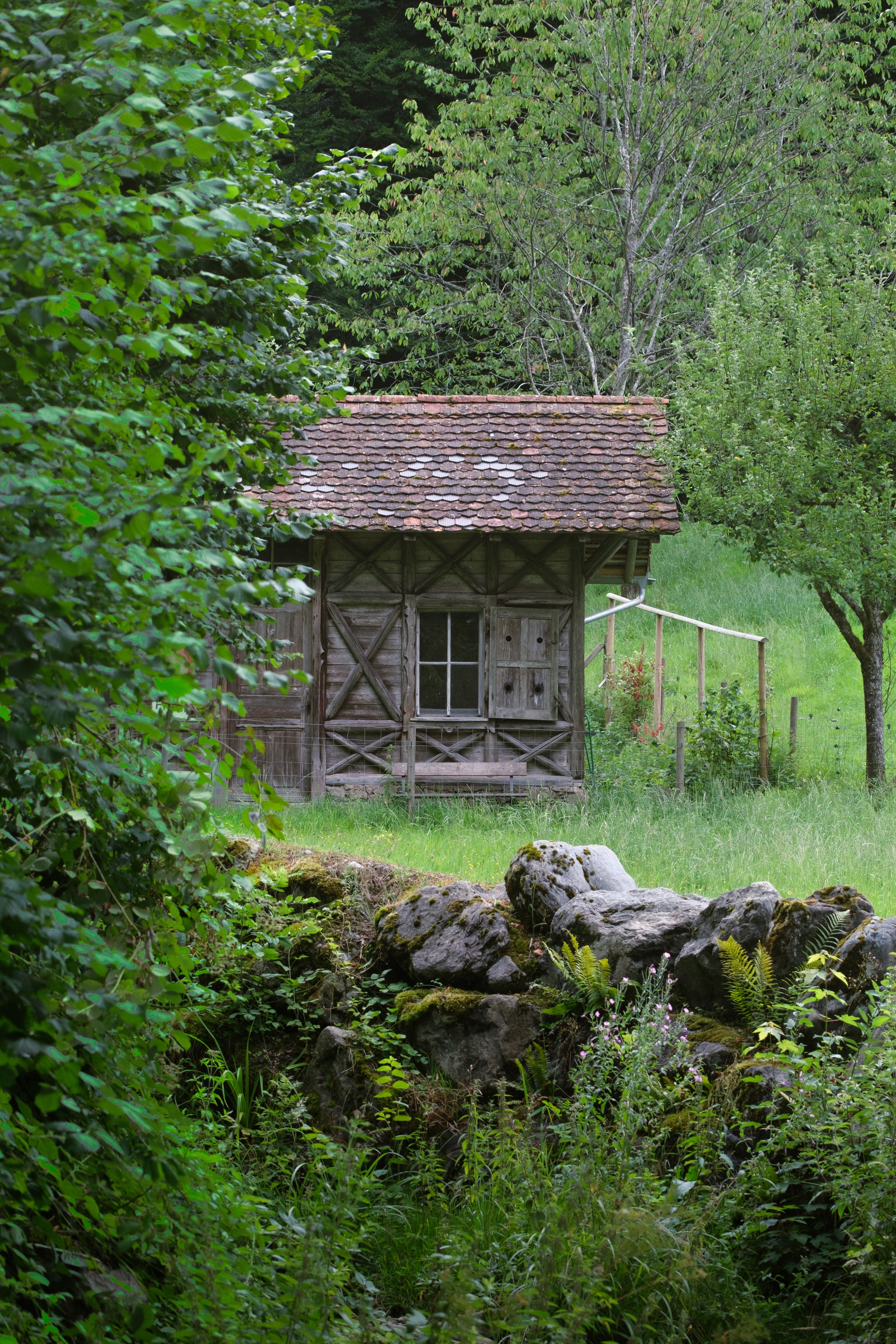 DSCF3405.jpg