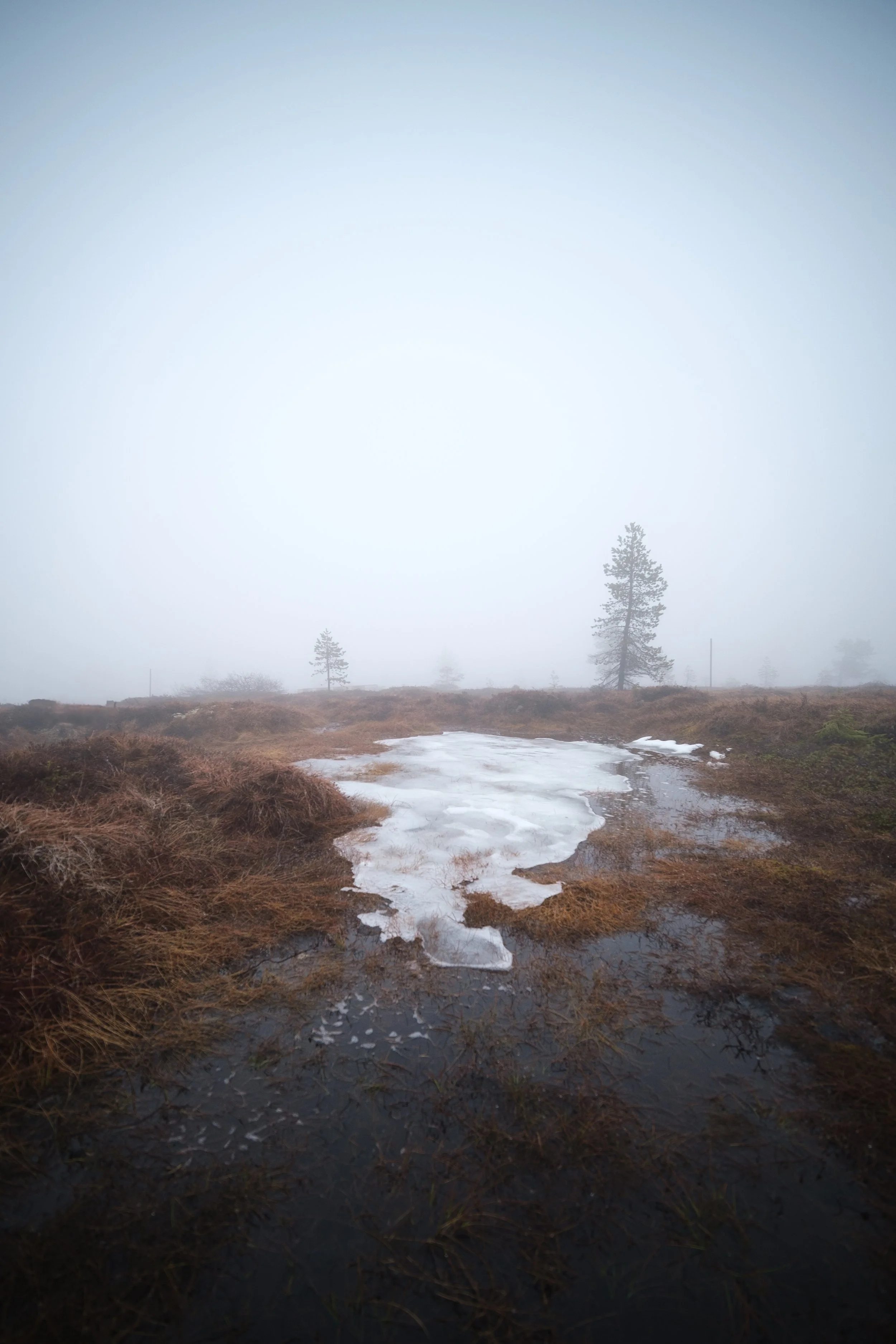 DSCF3681.jpg