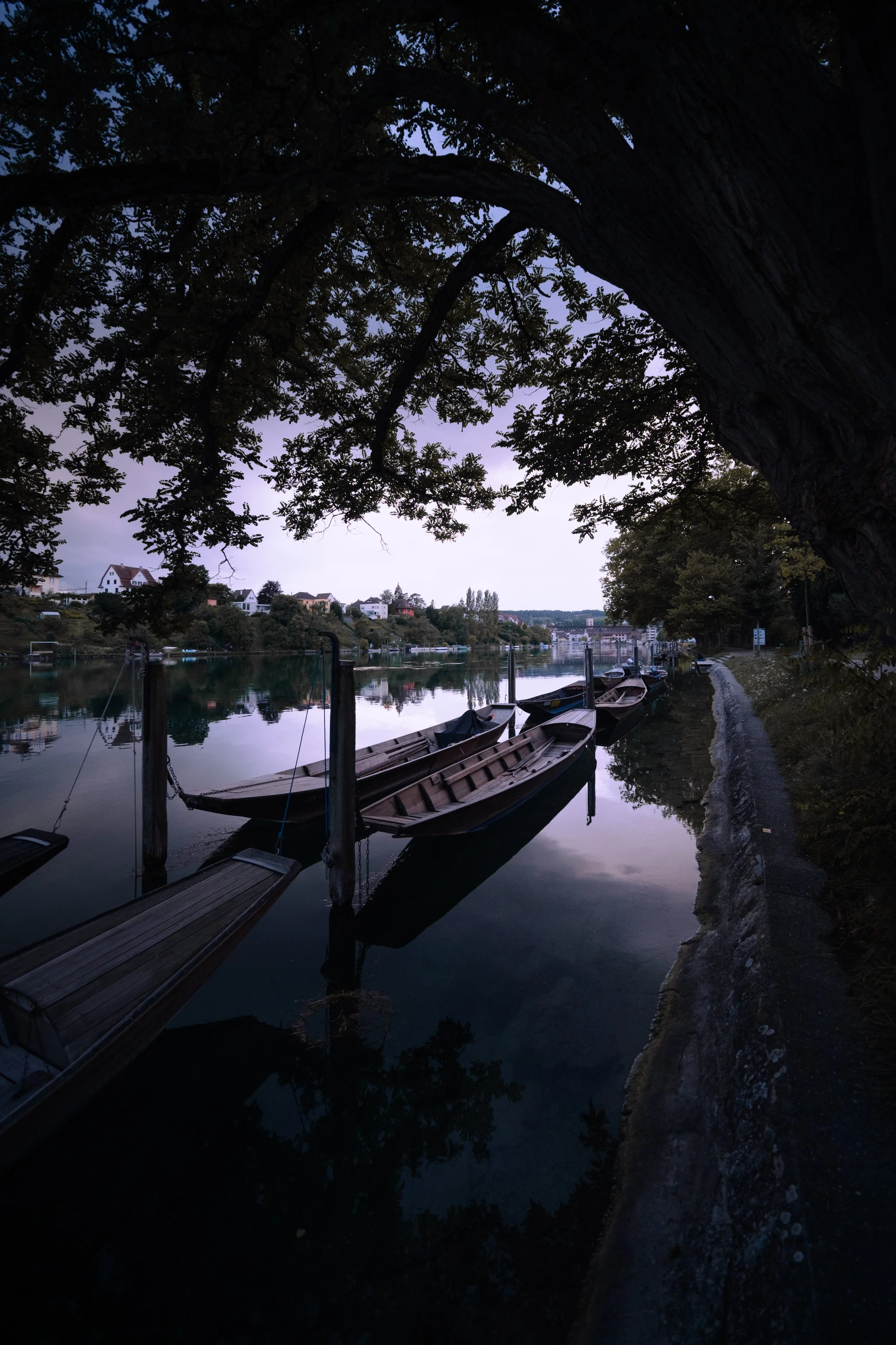 DSCF3988.jpg