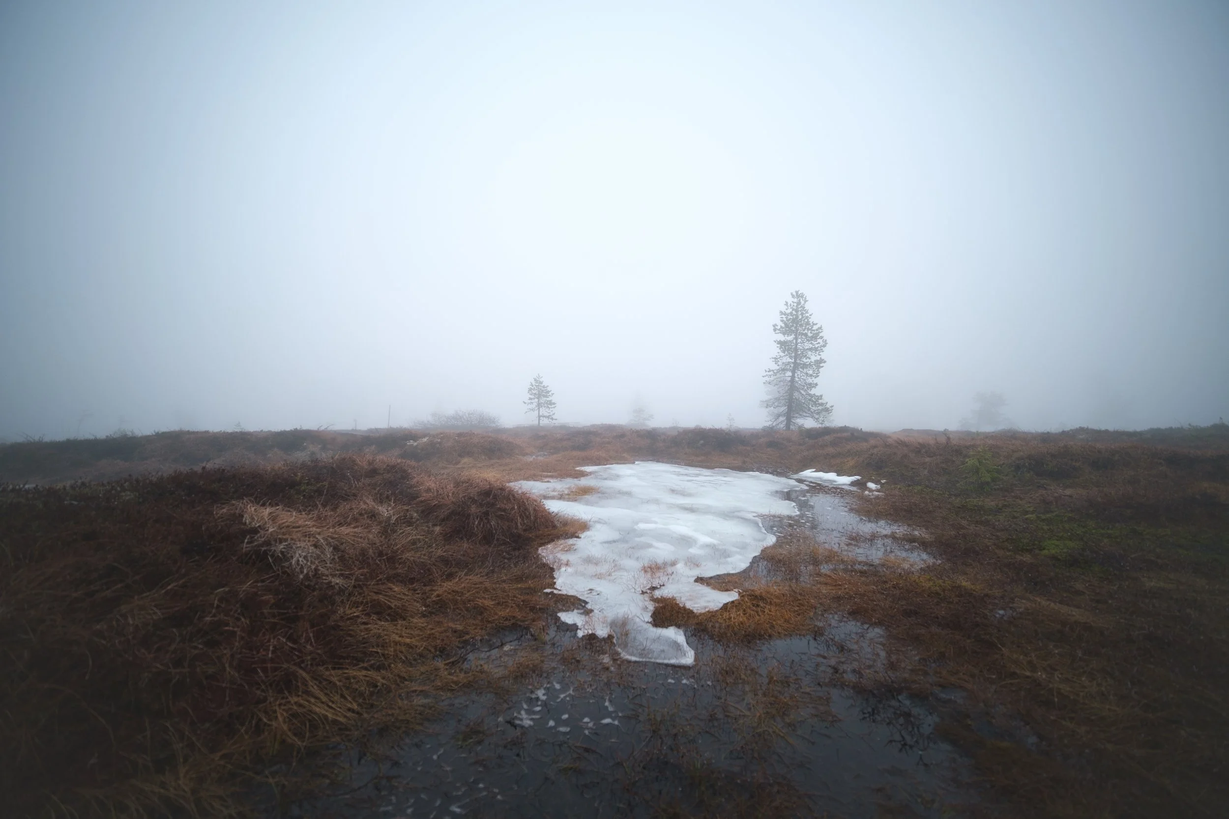 DSCF3682.jpg
