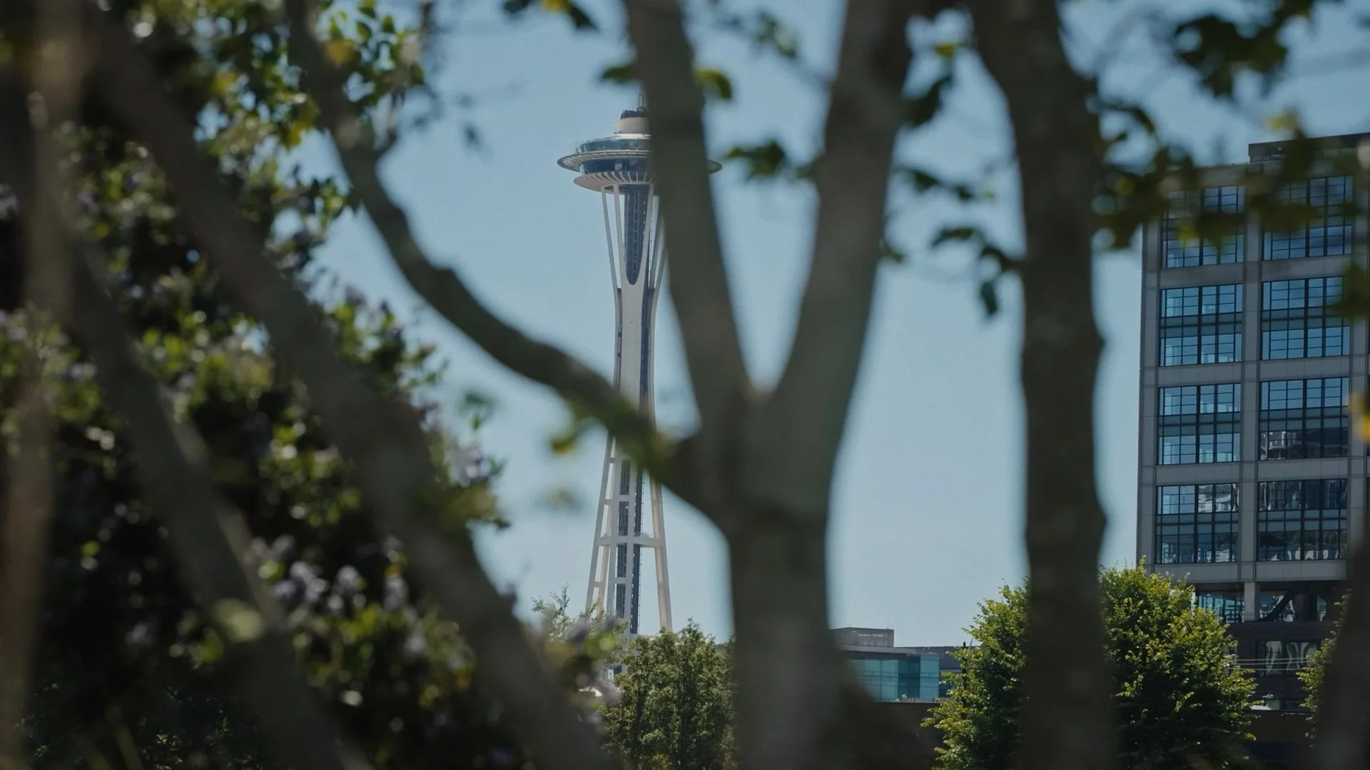 Visit Seattle