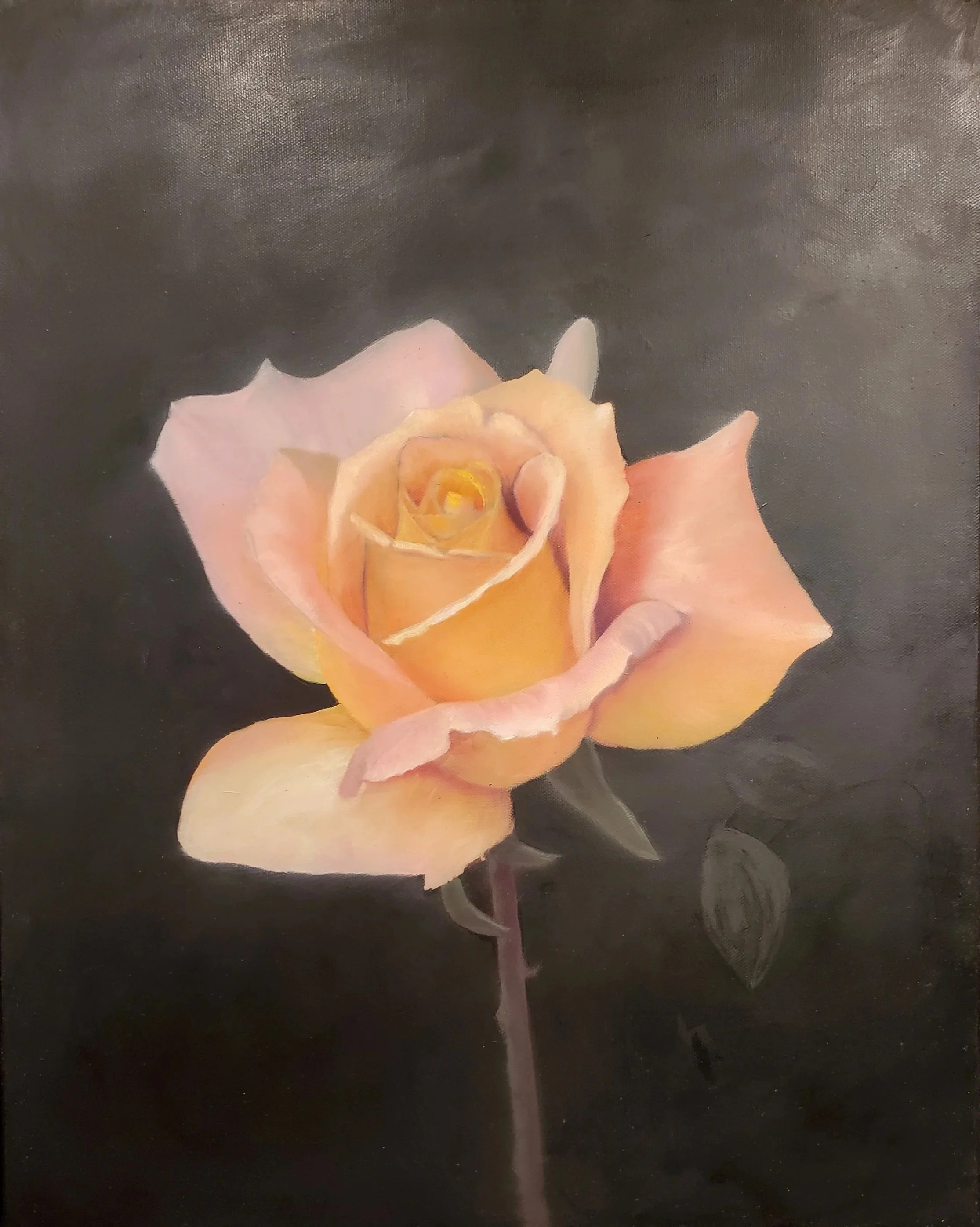 Grandpa's Salmon Rose, oil on canvas, 16 x 20 in.