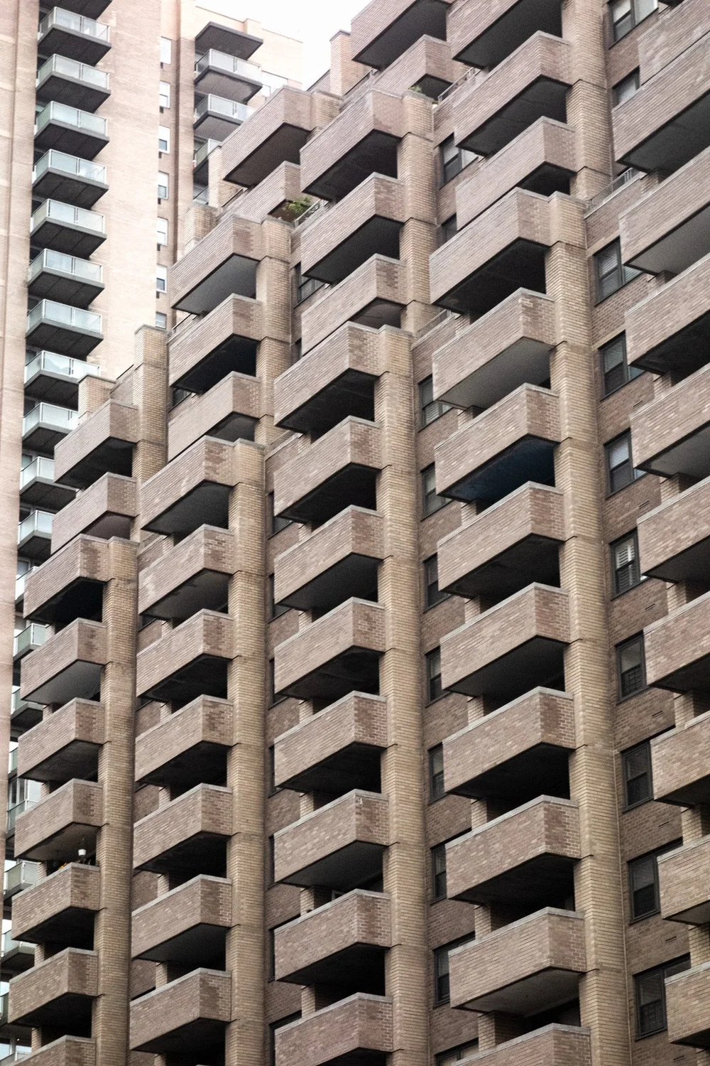 Demoy Shilling — Tivoli Artists Gallery