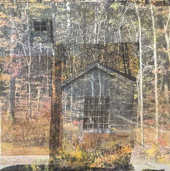 Hiding, photo encaustics, 10 x 10 in.