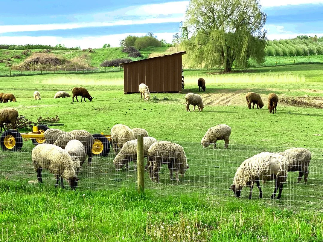 West Kerley Farm, Archival Print,13 x 19, 
