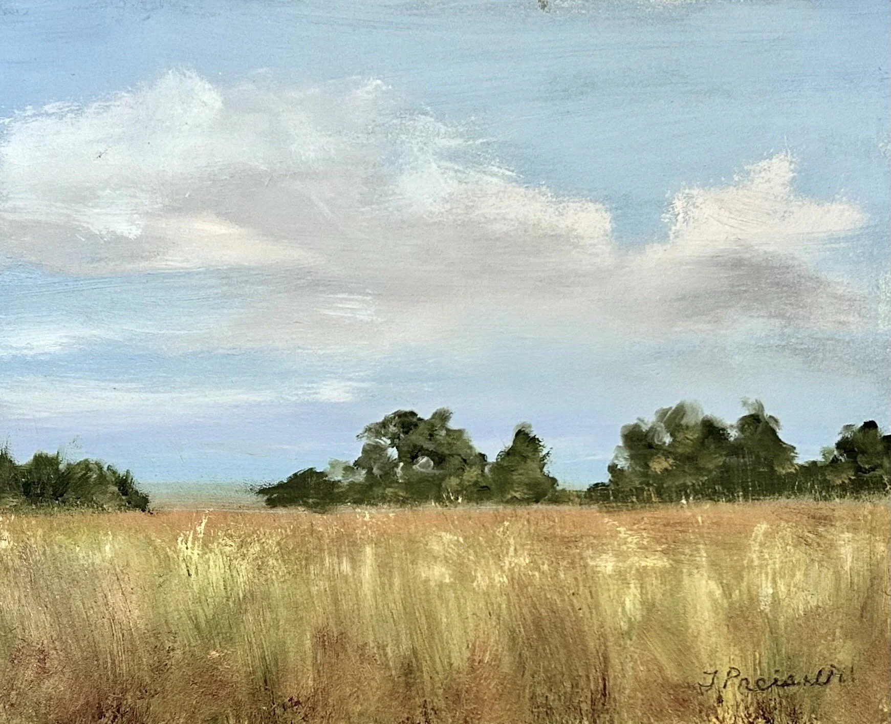 Summer Field , oil on pastel board, 8 x 10 in.