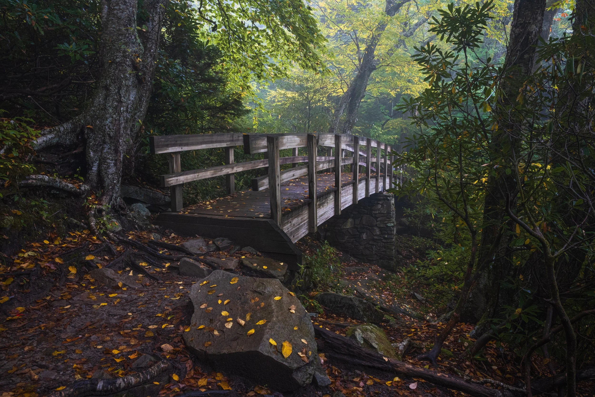 tanawhatrailbridge_oct26.jpg